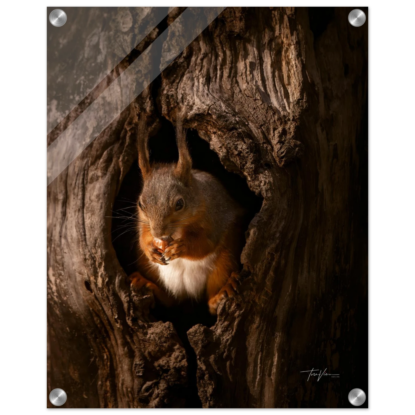 11512d61-9378-4552-8e96-7de94940c6c5