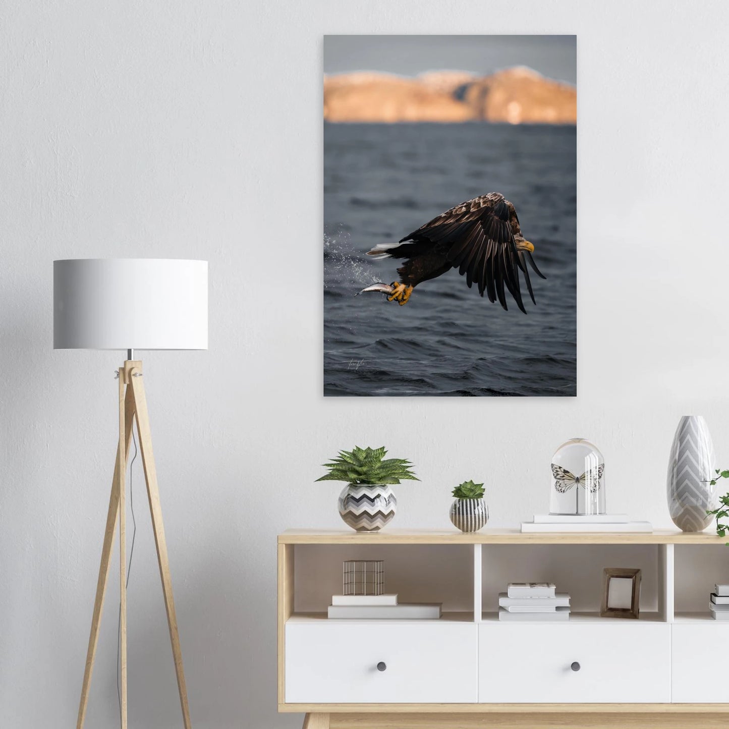 1245de78-82e6-47bb-b8c6-d7c3935f2c63