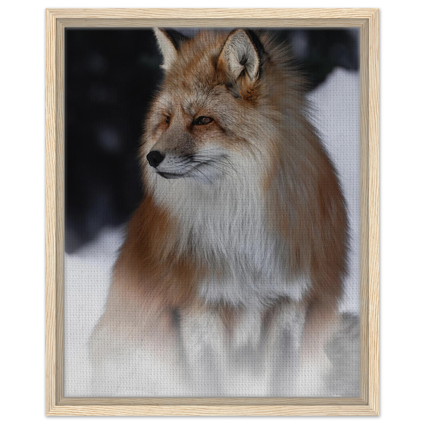 12feca0e-e671-4c50-9d35-4e896a576482