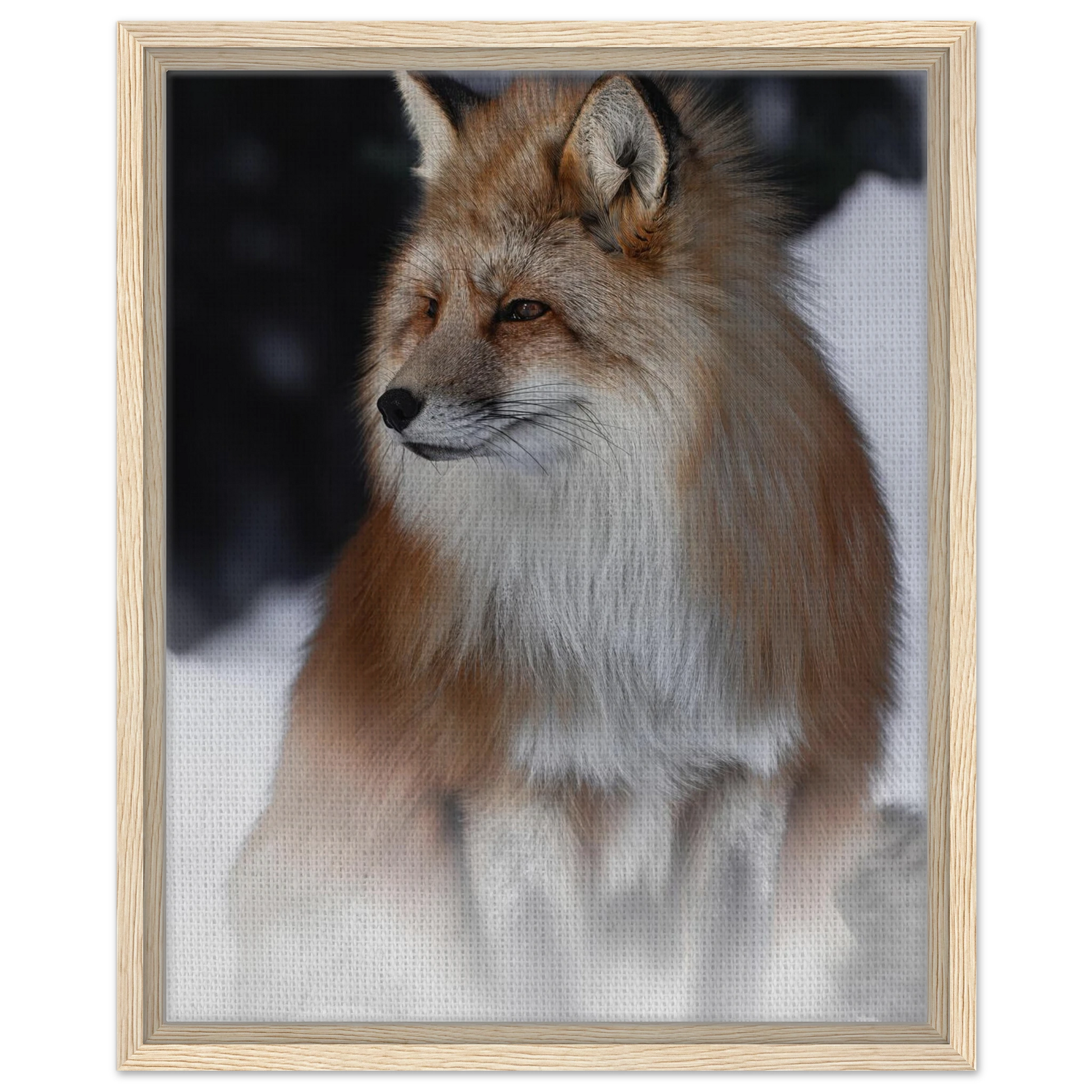 12feca0e-e671-4c50-9d35-4e896a576482