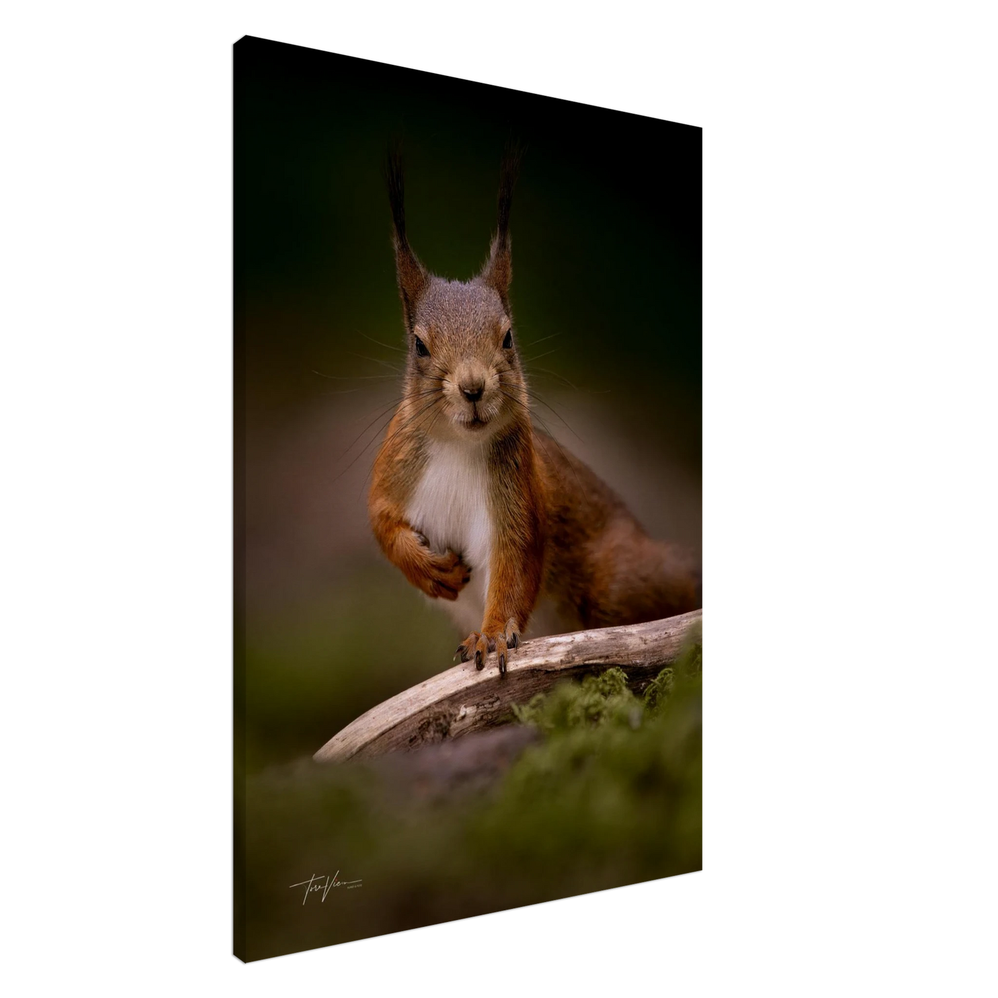 1307e0f5-190a-4117-902b-e8525096f874