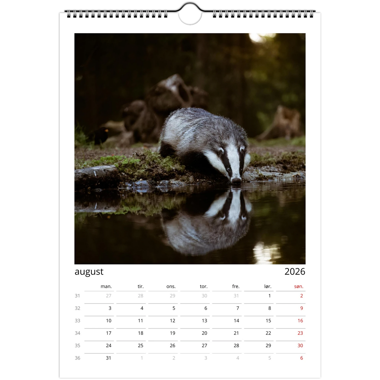 13655c52-4645-4cfc-b33e-9dc61d22d27b