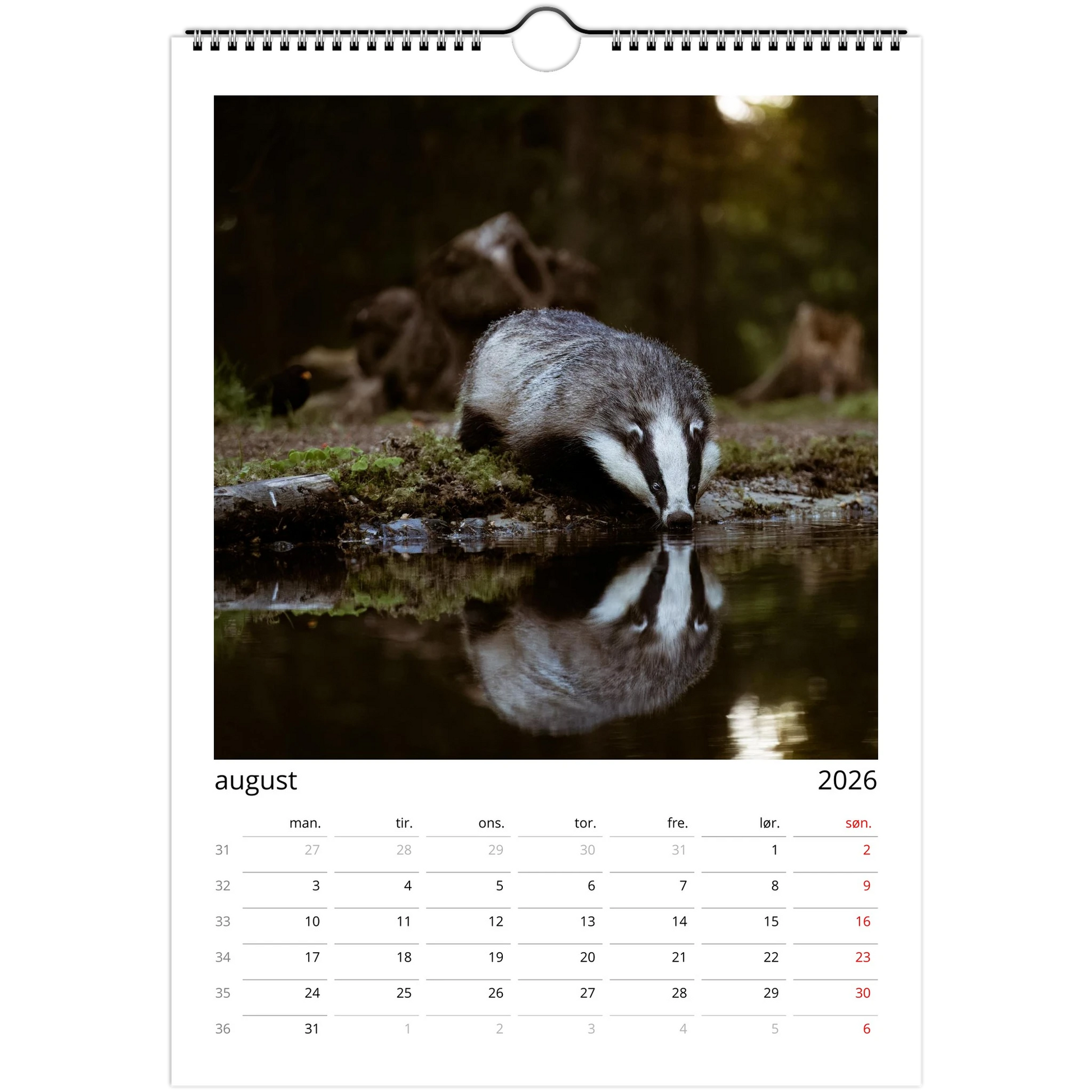 13655c52-4645-4cfc-b33e-9dc61d22d27b