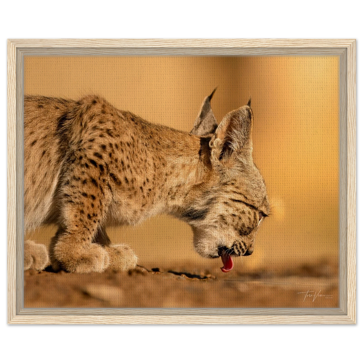 14af1735-e909-4978-860c-f8ccc52a10ce