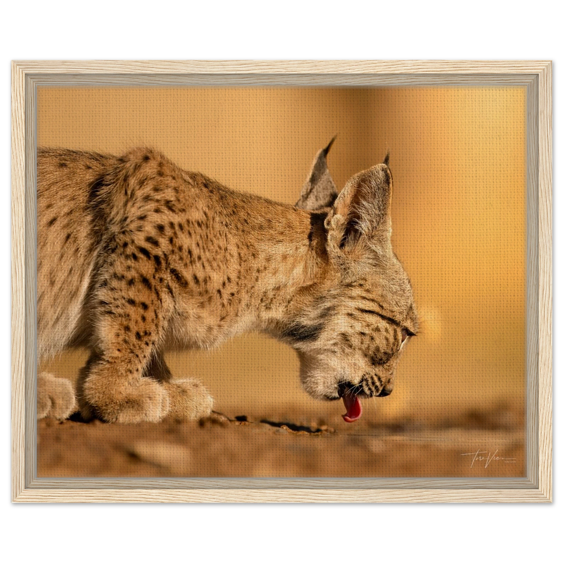 14af1735-e909-4978-860c-f8ccc52a10ce