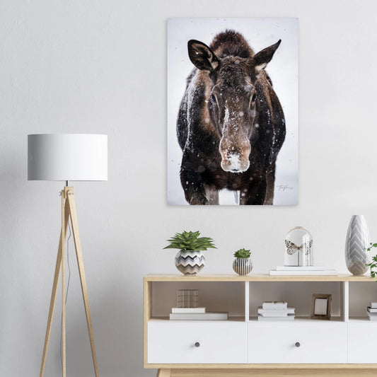 155629da-1486-4406-b74d-fd2aeeec3004