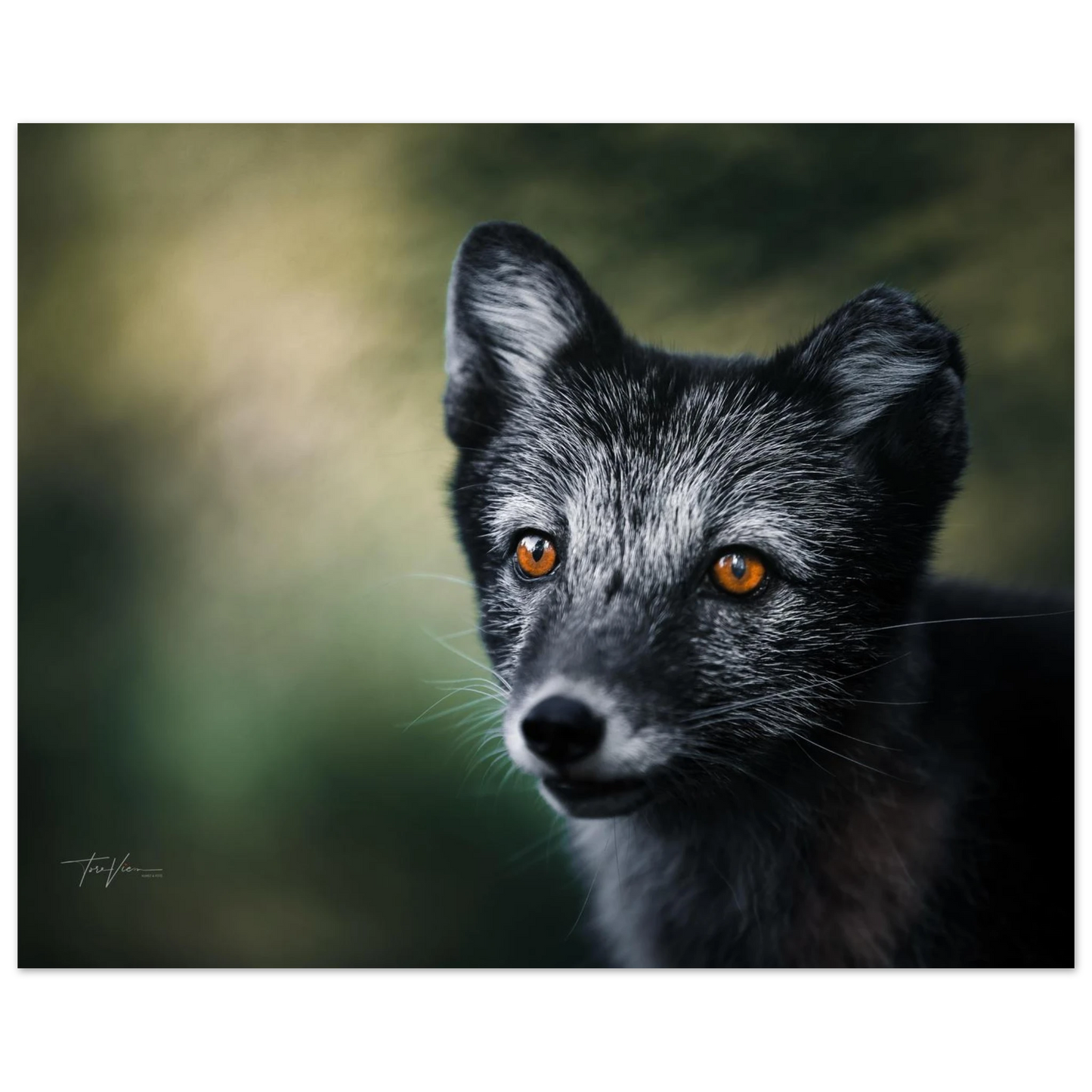 155f3ea7-44a3-4ac8-b731-359f04adb3f2