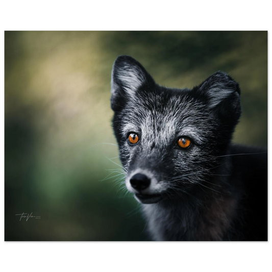 155f3ea7-44a3-4ac8-b731-359f04adb3f2