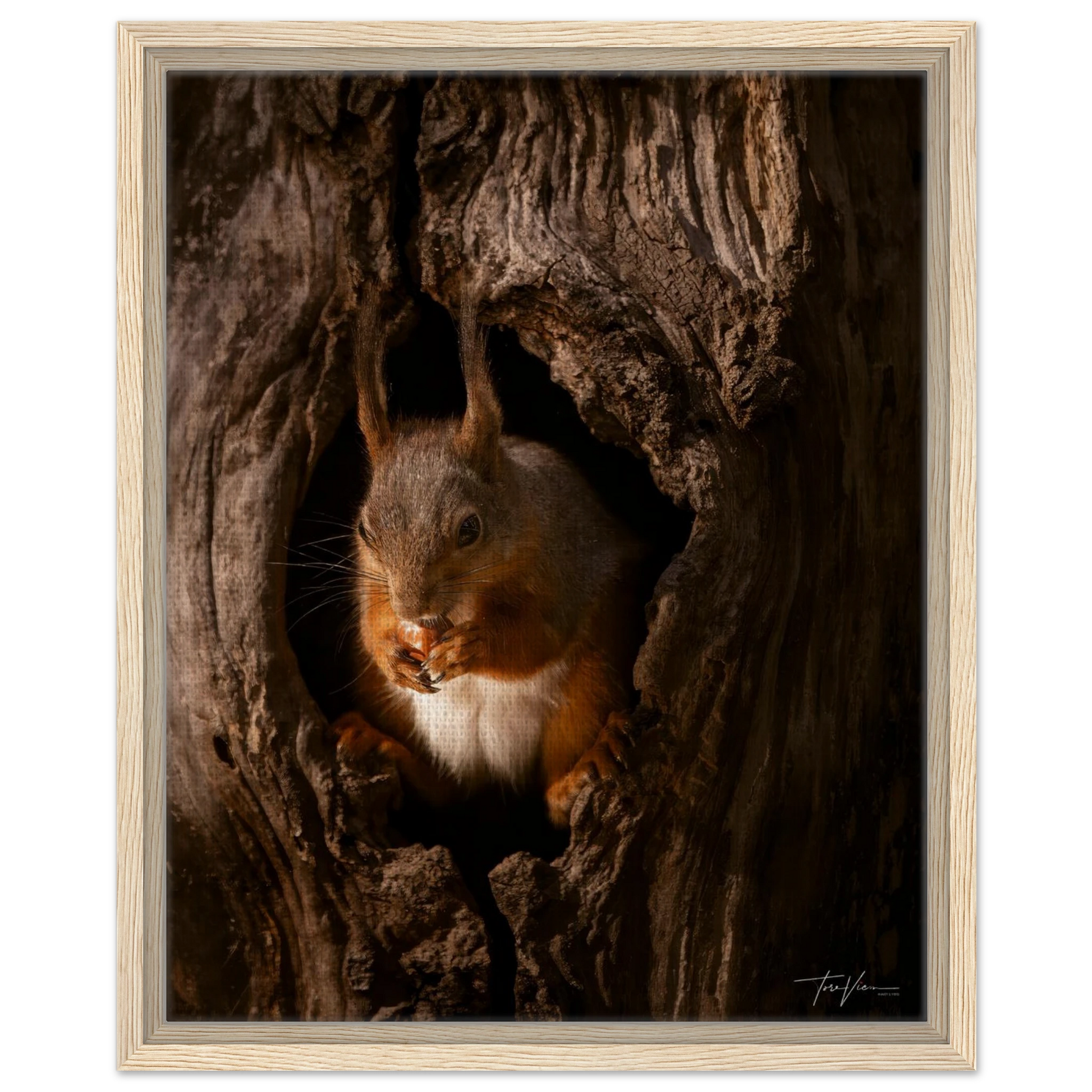 1594a598-d43f-4f0e-a467-244fca326ed7