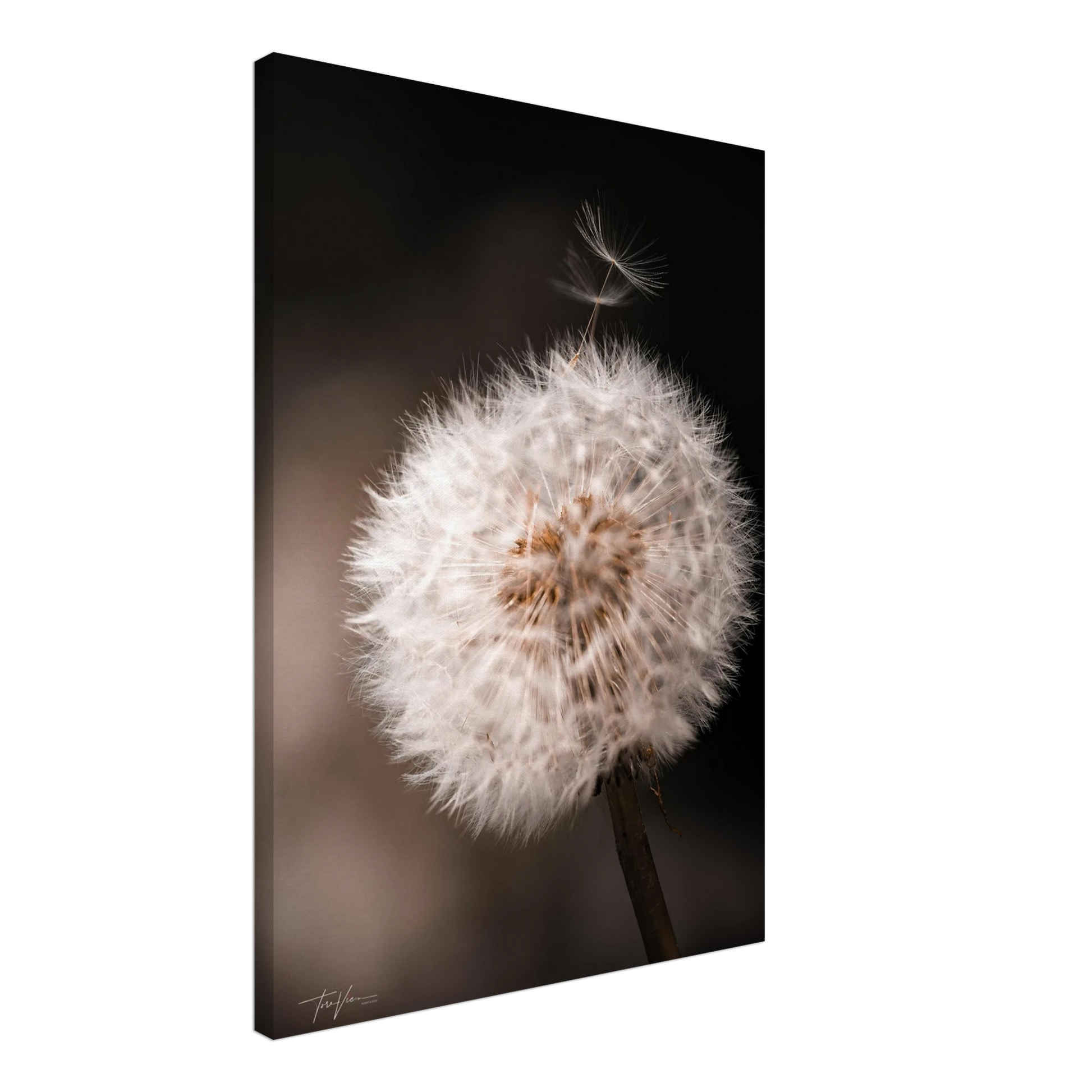 15bdb991-6c4b-4b99-a264-eccc33b4d98d