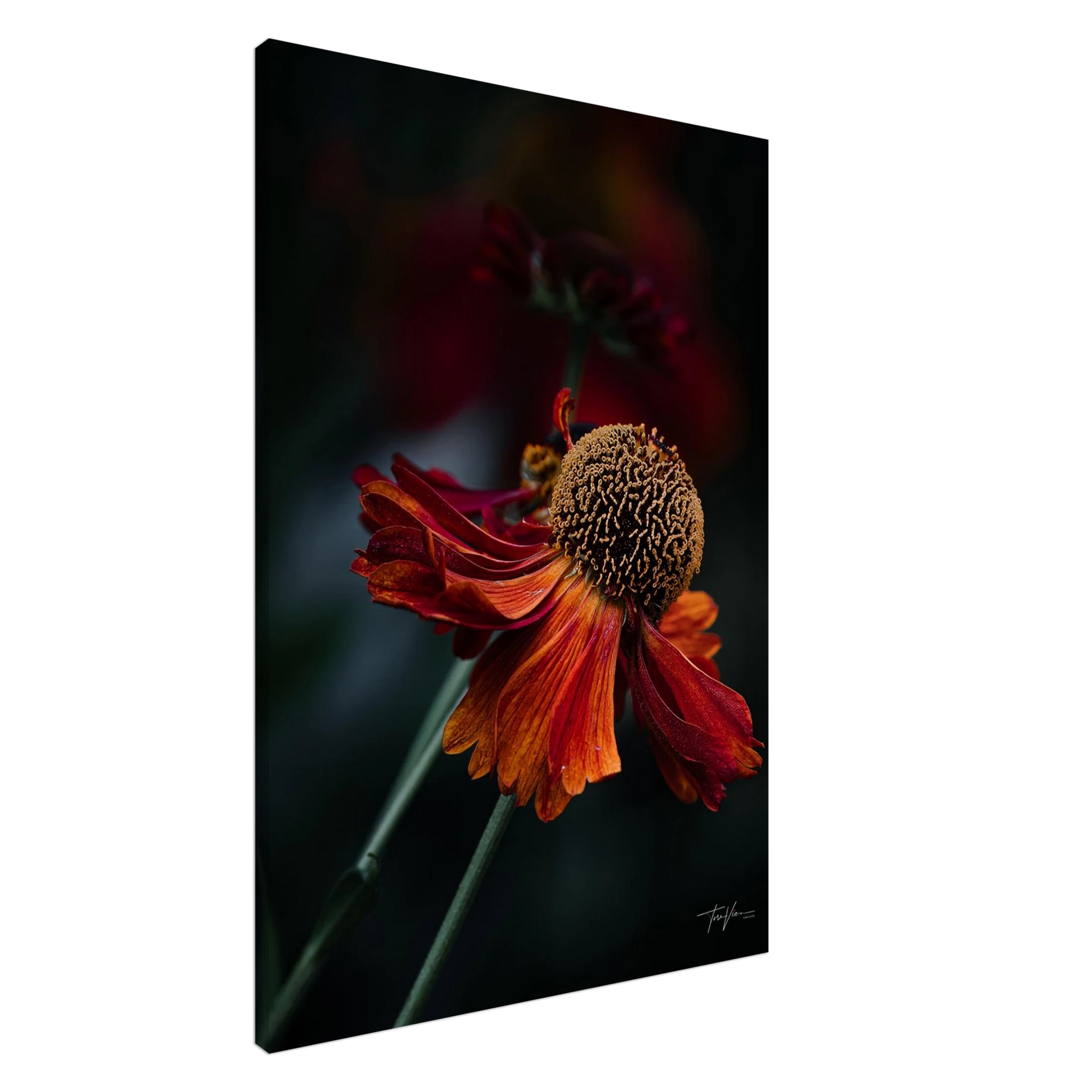 167224ad-aa2e-445f-931d-c90d4ea75fd1