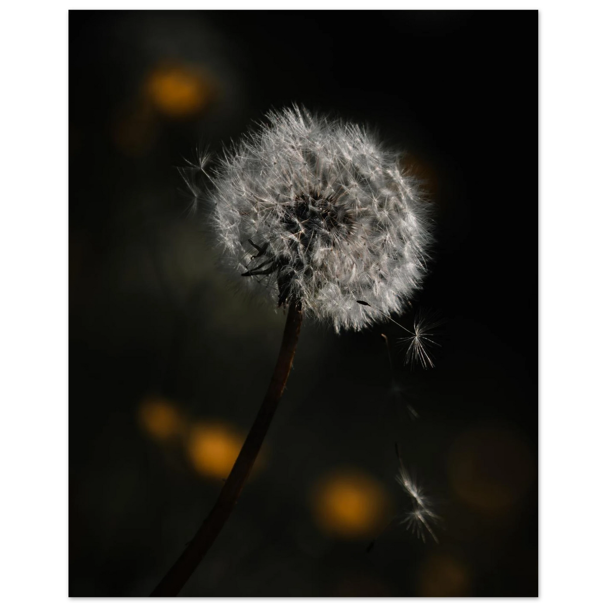 1703ca78-9df7-405b-a69f-fe69971041fb