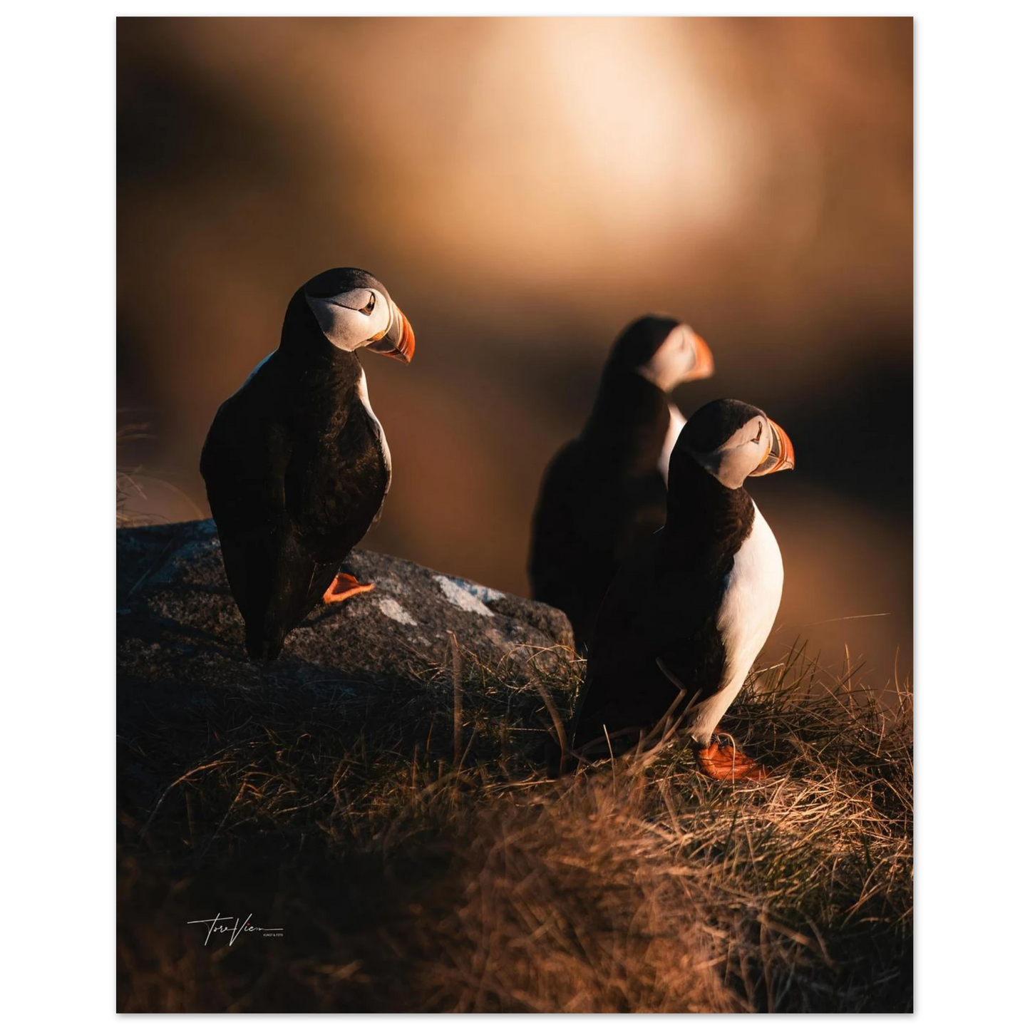 18cc7724-5022-4190-9ce0-aa21b30f7d4e