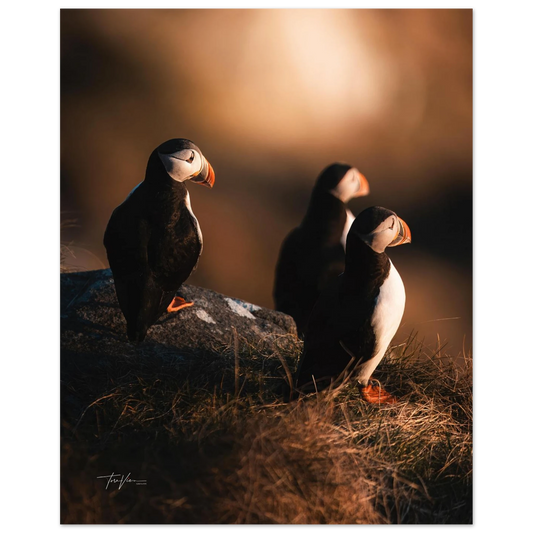 18cc7724-5022-4190-9ce0-aa21b30f7d4e