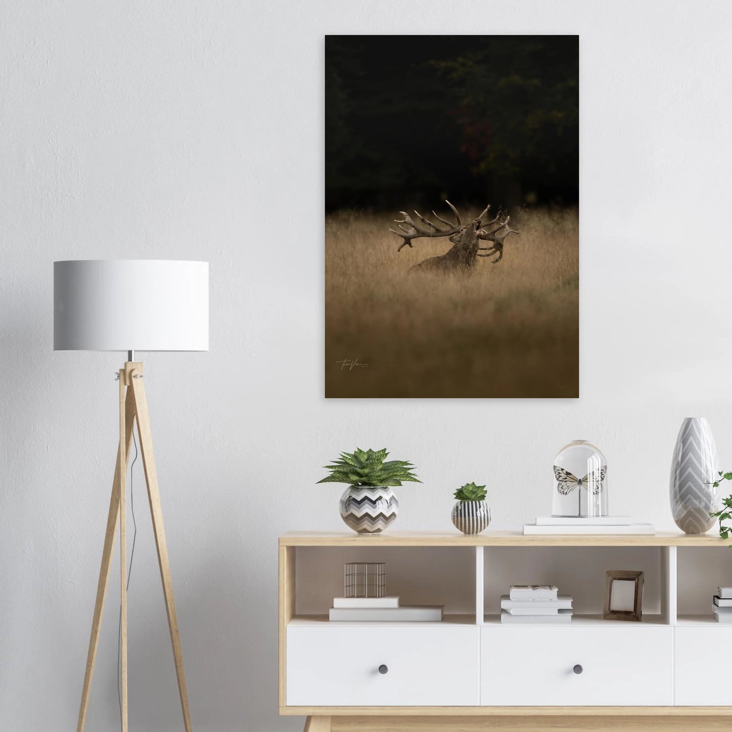 19fea6a9-62e0-40b0-a0c9-6864cbb0126f