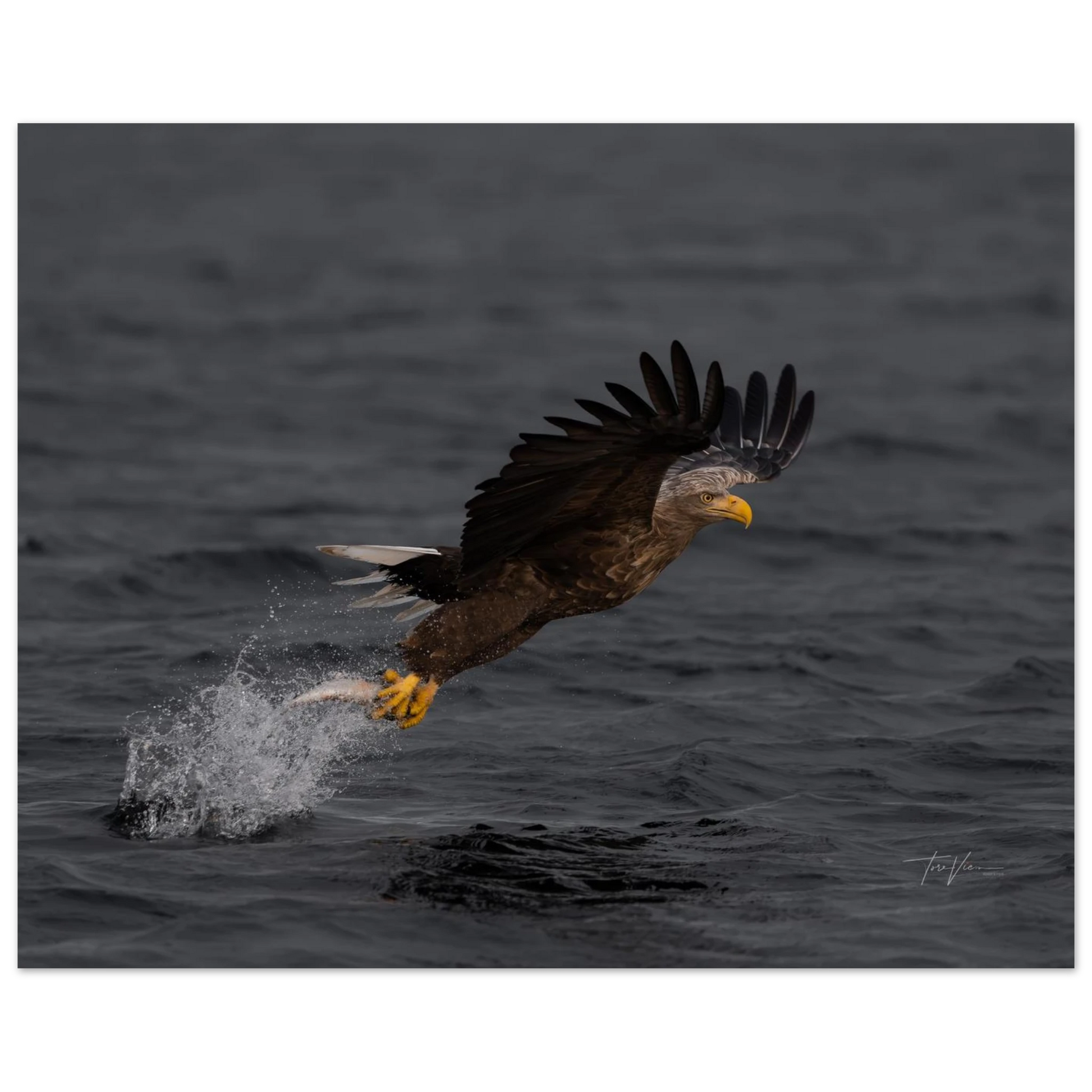 1c47f46b-afd5-4986-b82e-d732d77f7adc