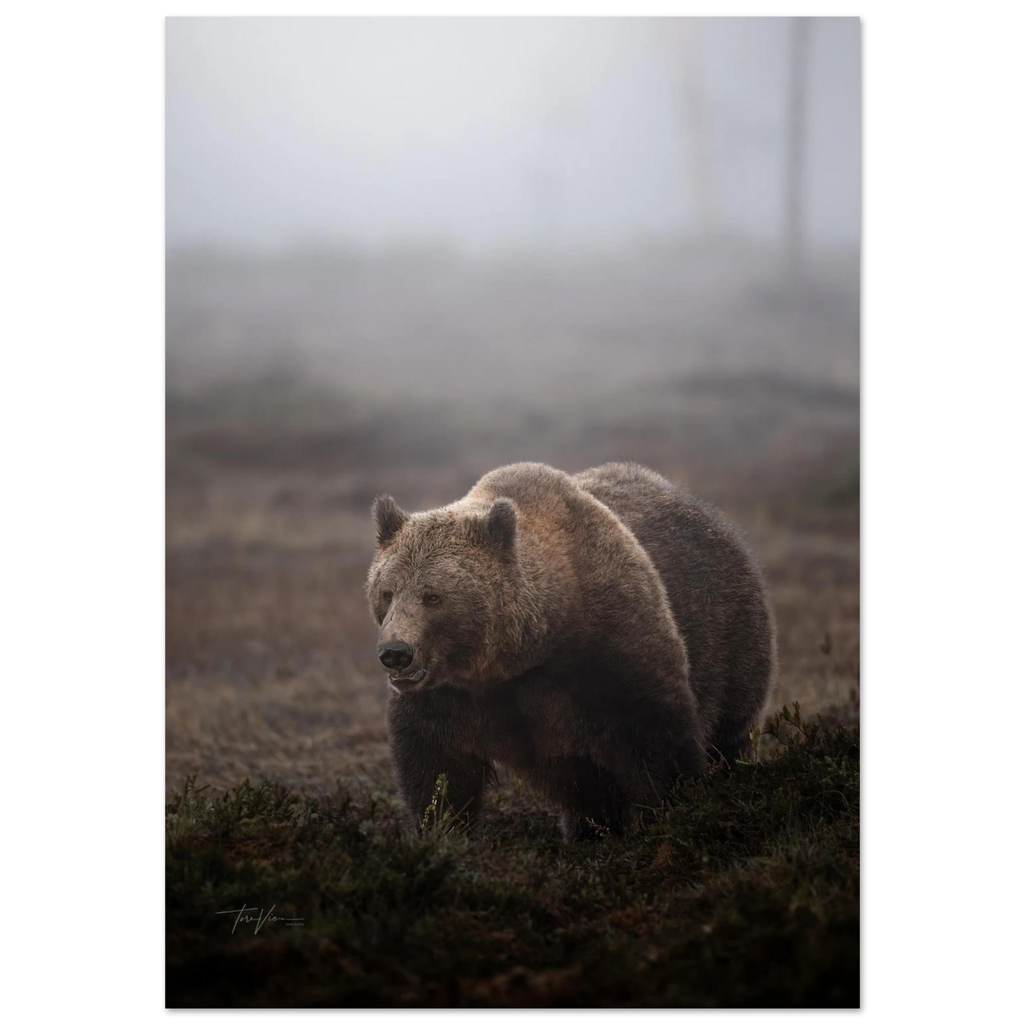 20c7e34d-b777-40dc-86ad-3c689bf265b3