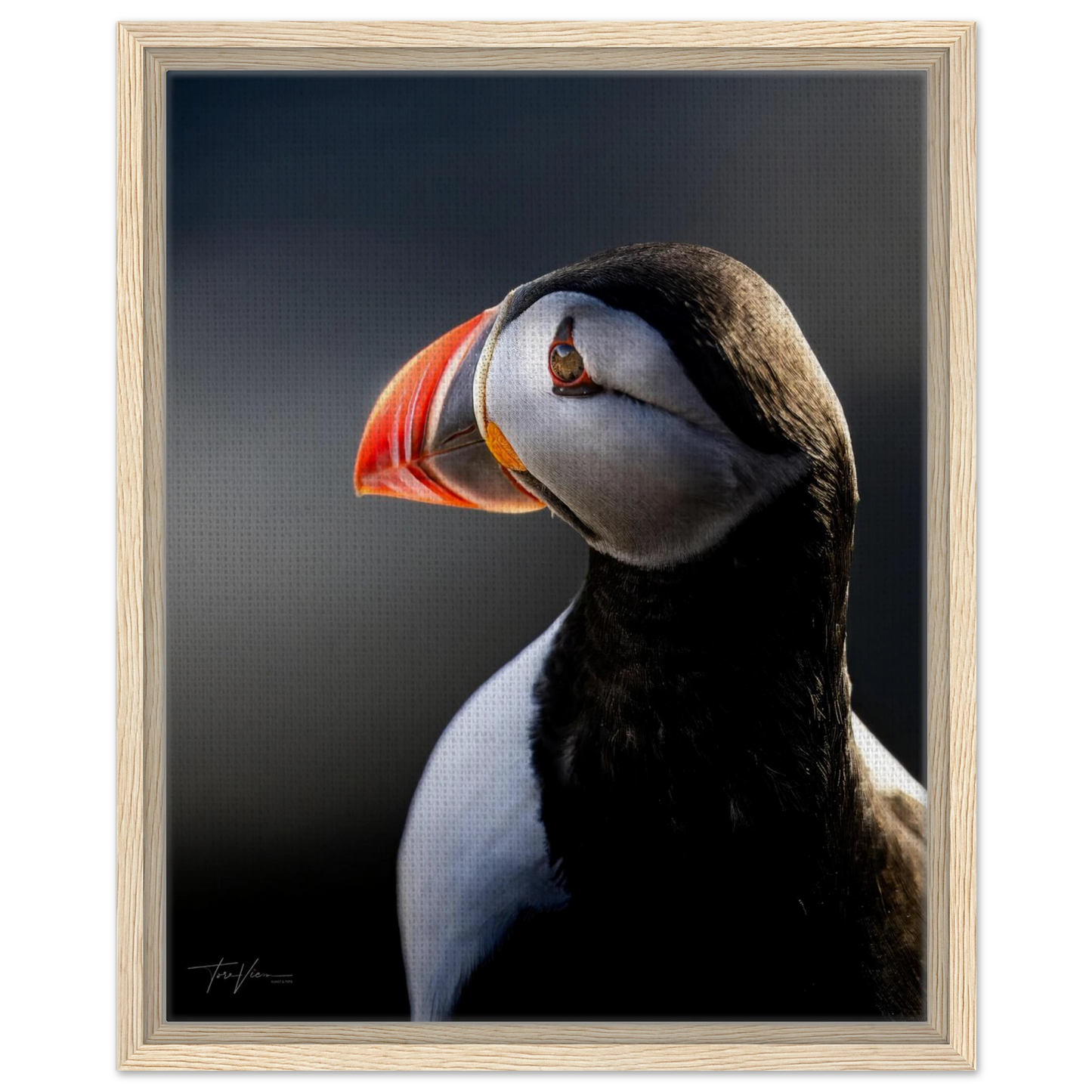 21198f3e-2e62-49c6-986a-e0ddd3b94ab0