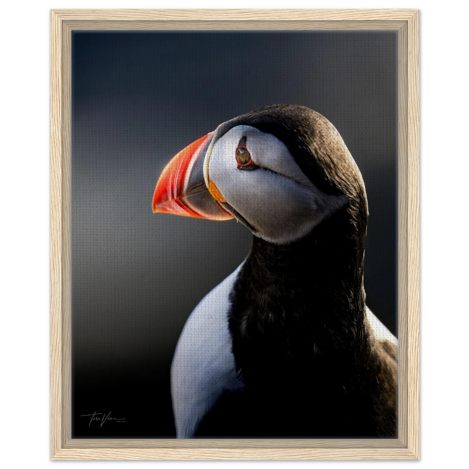 21198f3e-2e62-49c6-986a-e0ddd3b94ab0