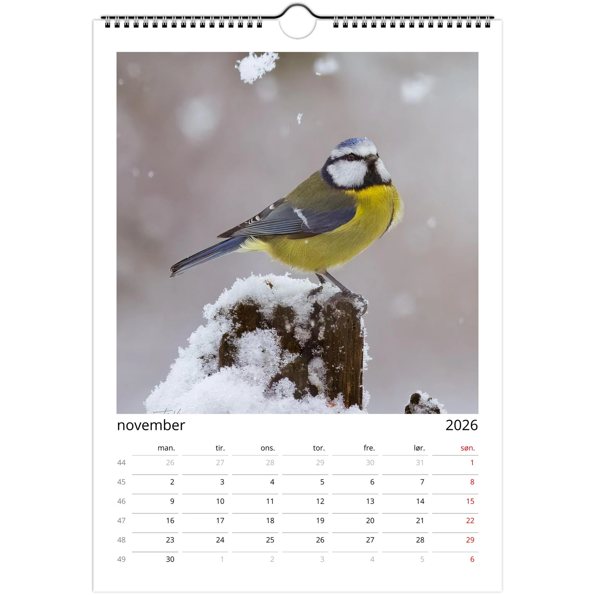 2248c422-6d86-44a1-a384-a23ecf7938a4