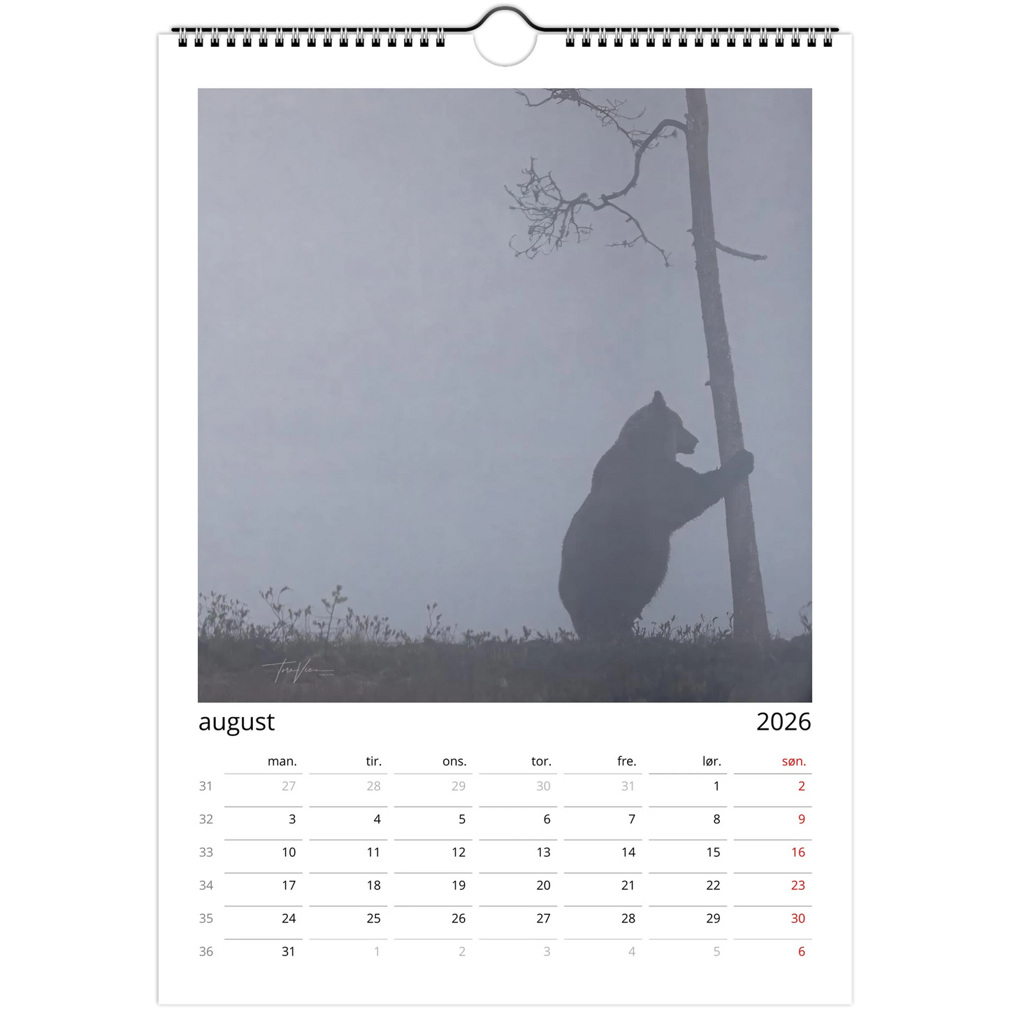 23cee87e-9dc8-48c8-8939-aab3180bbae6