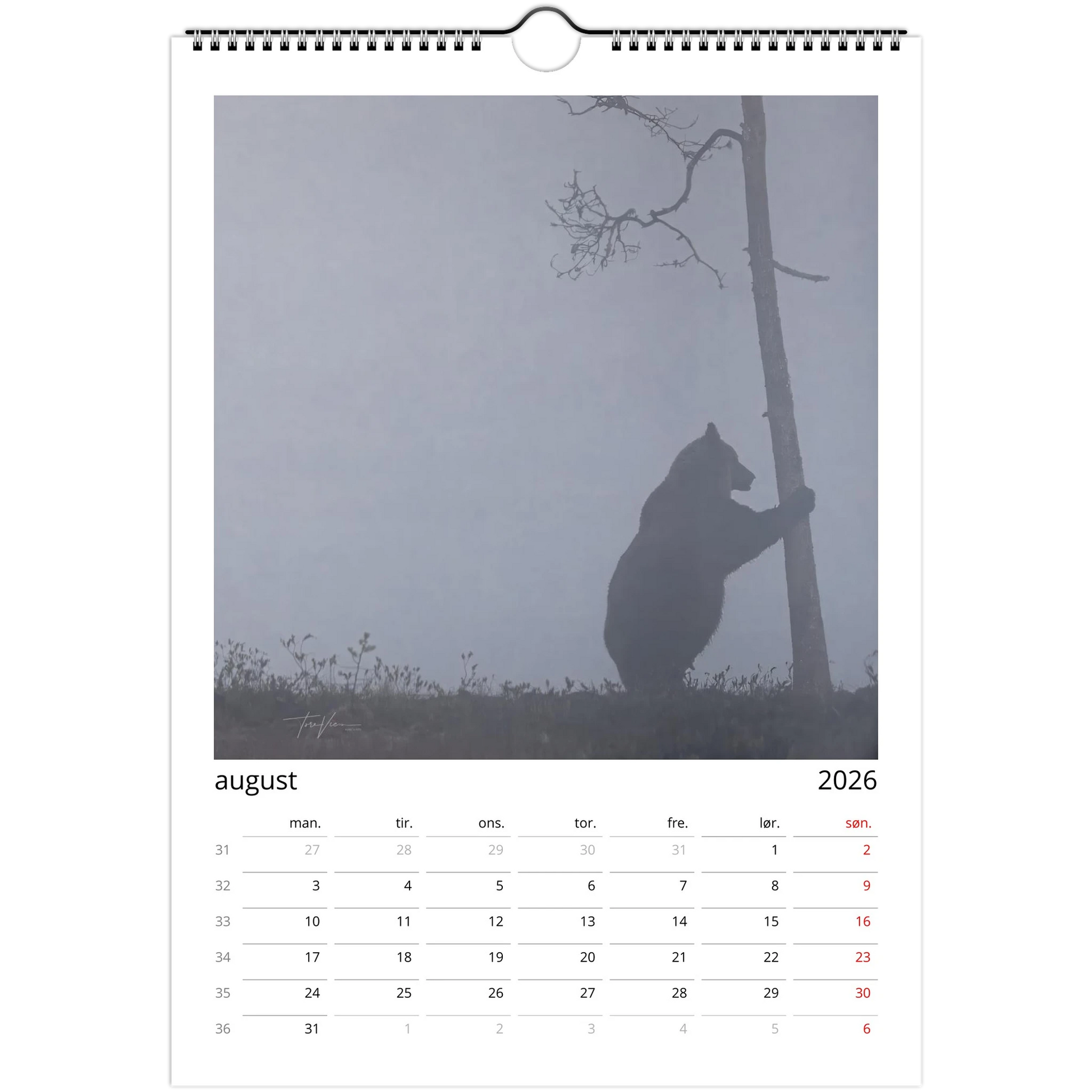 23cee87e-9dc8-48c8-8939-aab3180bbae6