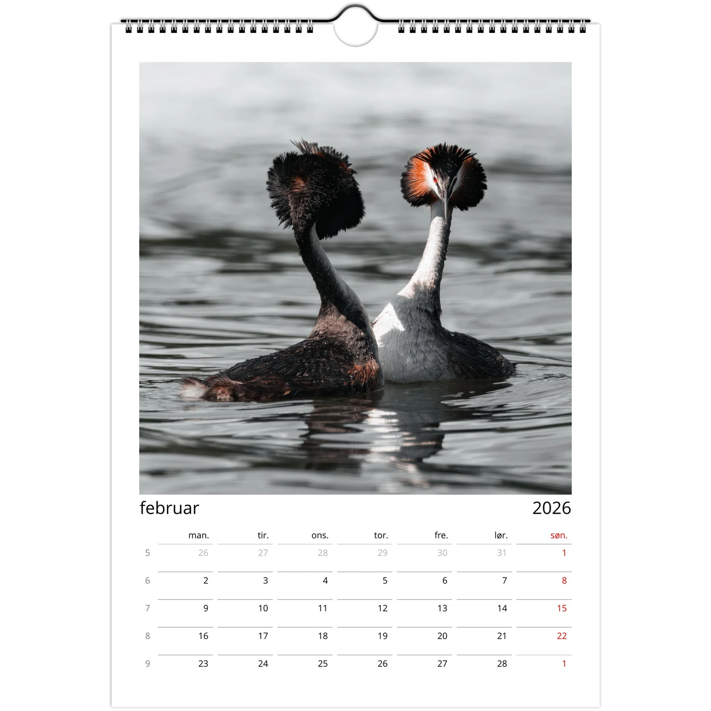 23f016e8-86d9-4096-82dd-81a496332818