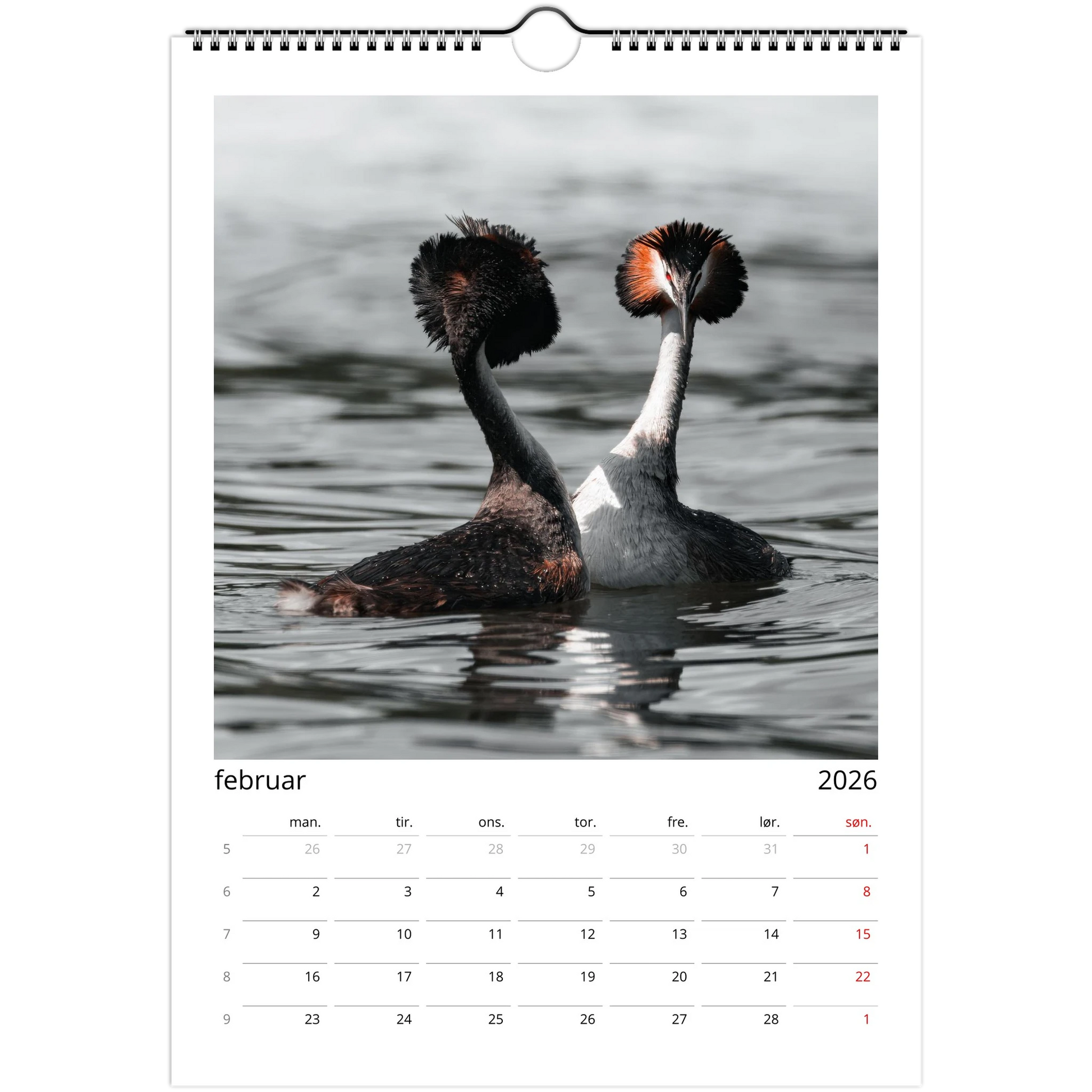 23f016e8-86d9-4096-82dd-81a496332818