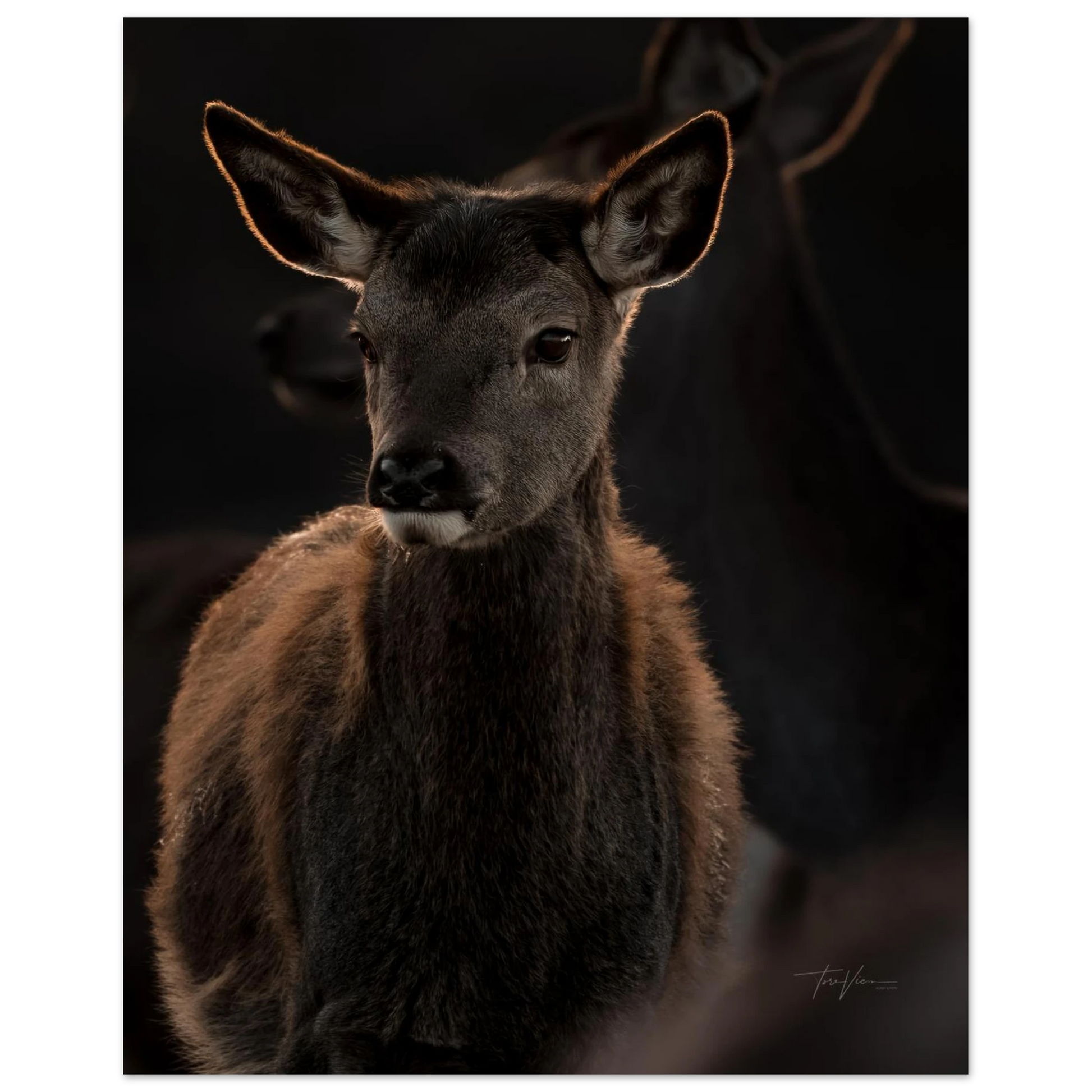 25e63b98-fbd3-4f11-be11-41ae608f7785