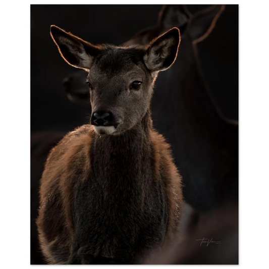 25e63b98-fbd3-4f11-be11-41ae608f7785