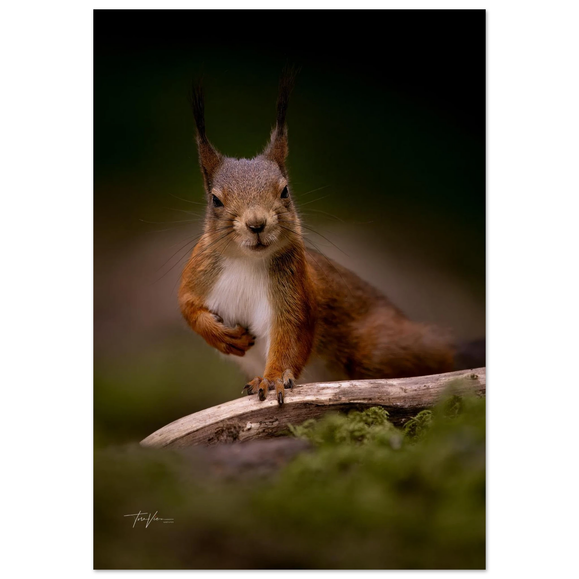 2623b2a2-7b54-4d4a-88d6-9eba8e5b7d6f