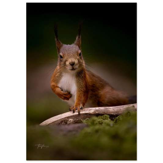 2623b2a2-7b54-4d4a-88d6-9eba8e5b7d6f