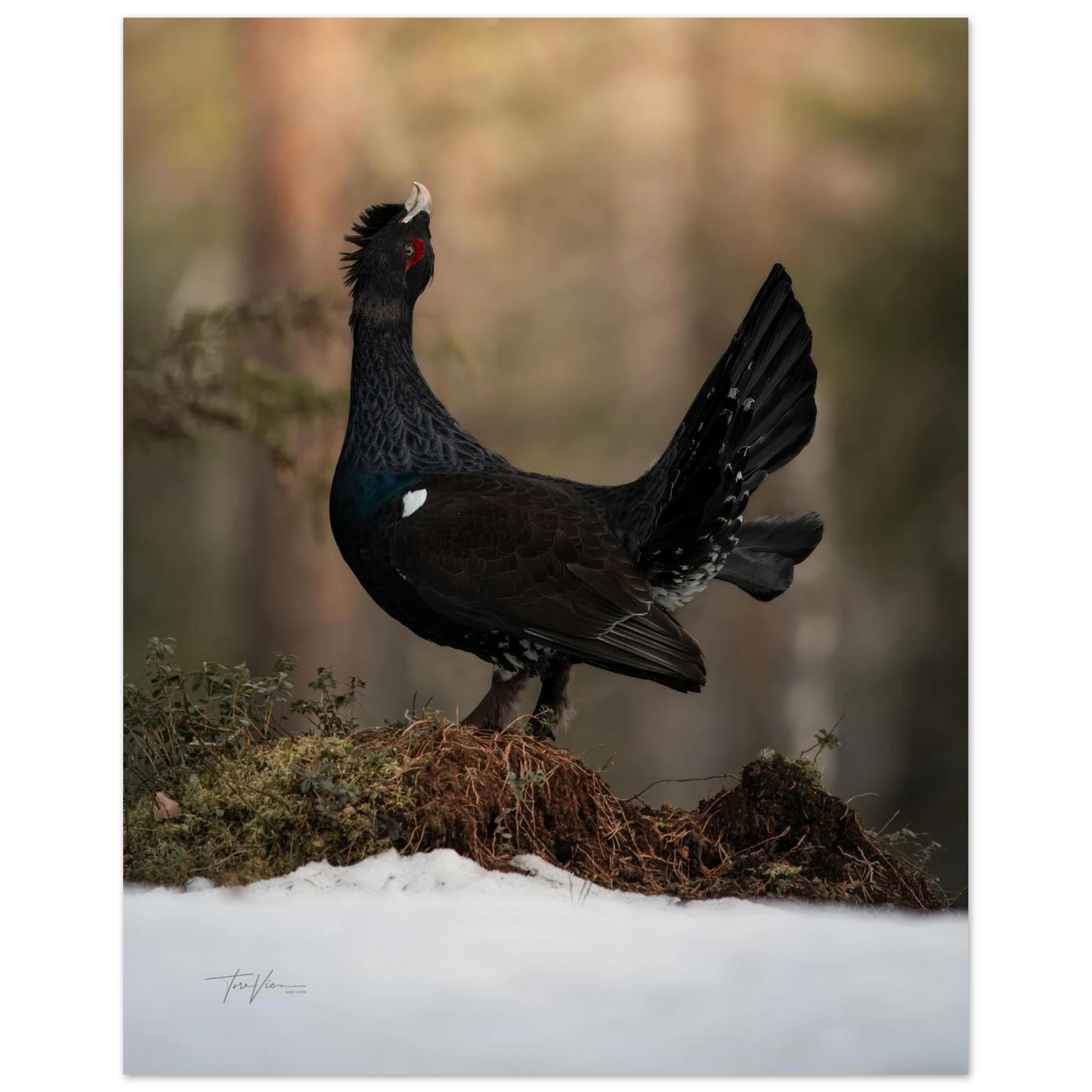 26a4c4b2-7798-45ab-8a13-922a570e07dc