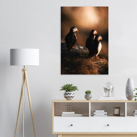 270d1cba-6507-4d39-b2d1-1955dc582c06