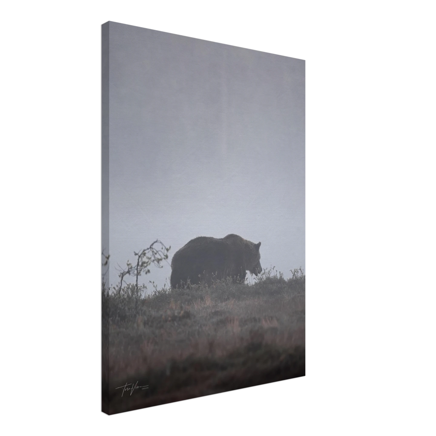 27408b90-4cf7-4f4f-ba16-8a0d861e8b6d