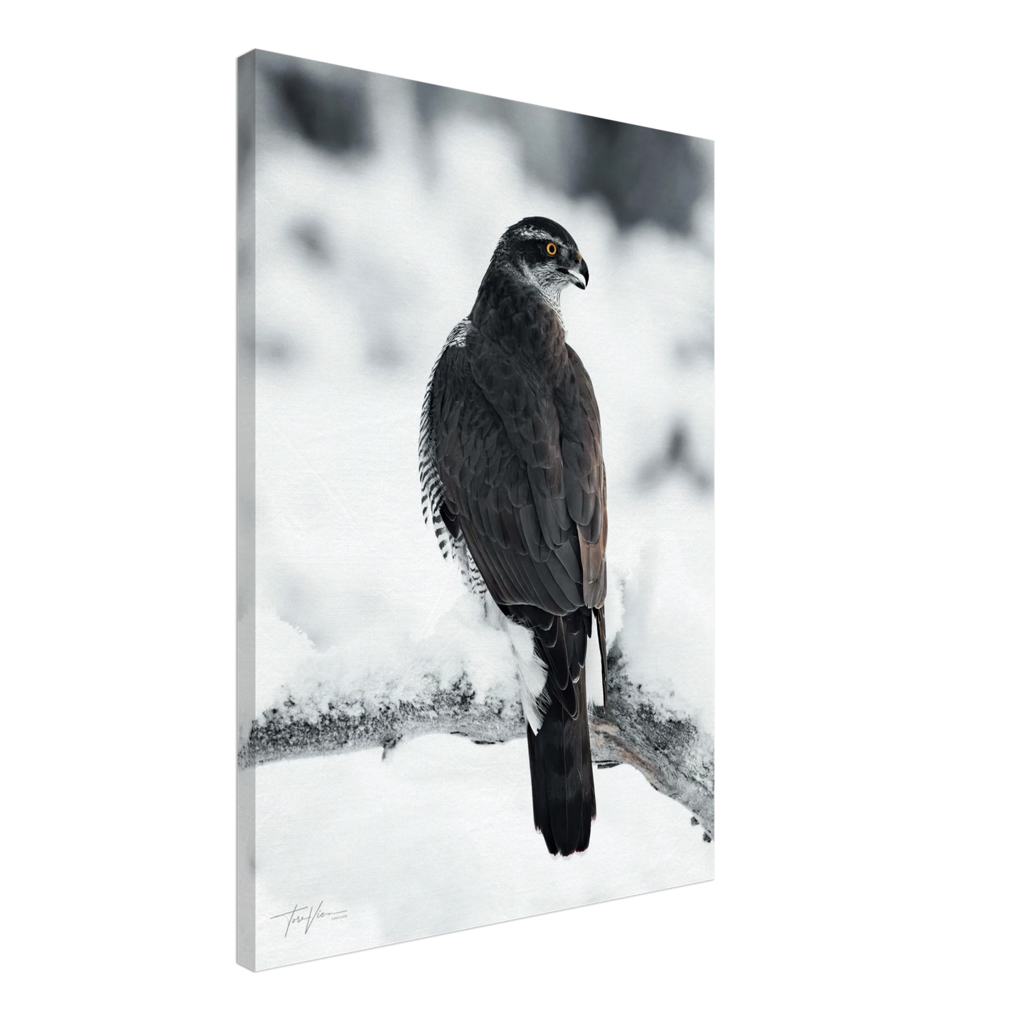 27ad93b5-1cd7-4129-a8a7-ccbfc4defb99