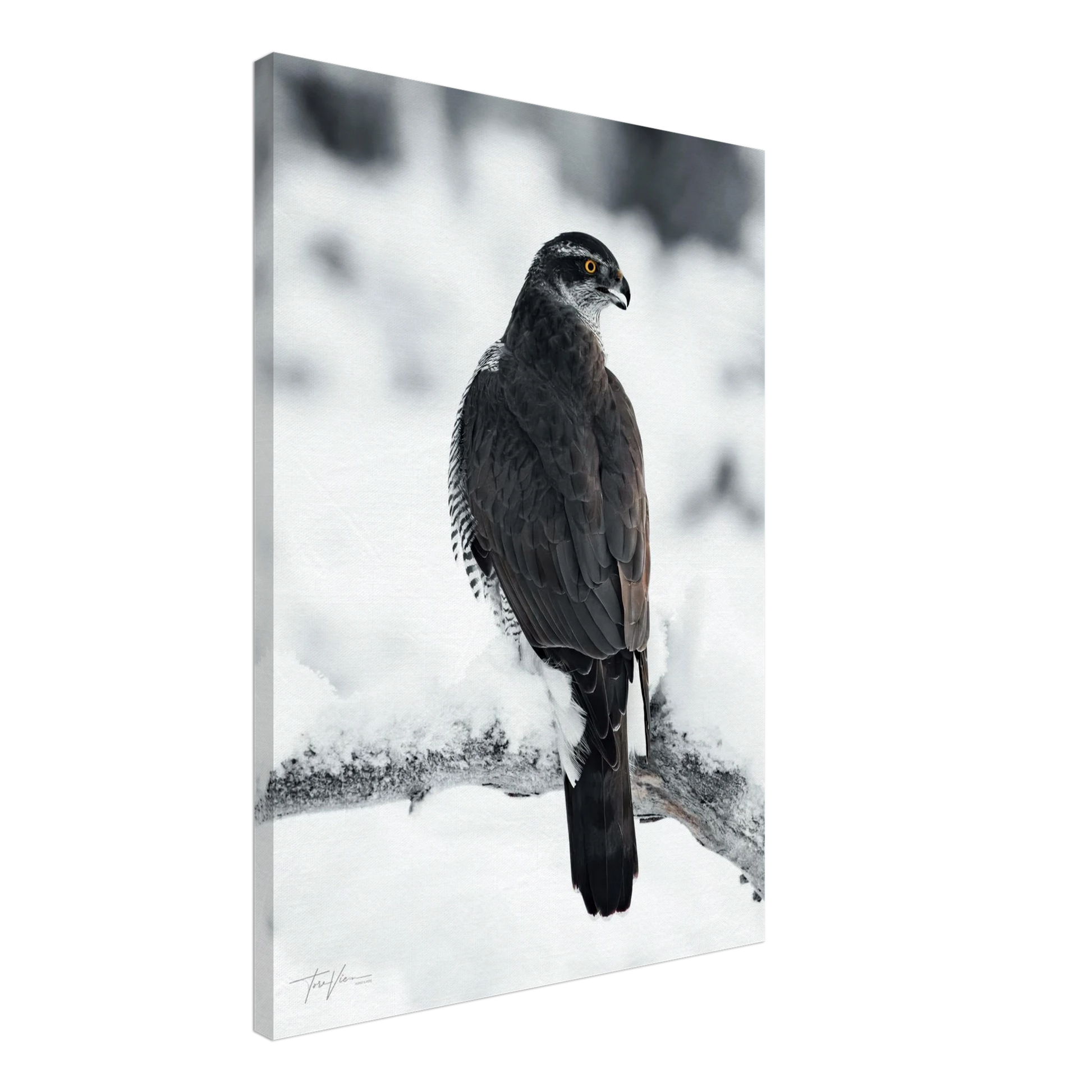 27ad93b5-1cd7-4129-a8a7-ccbfc4defb99