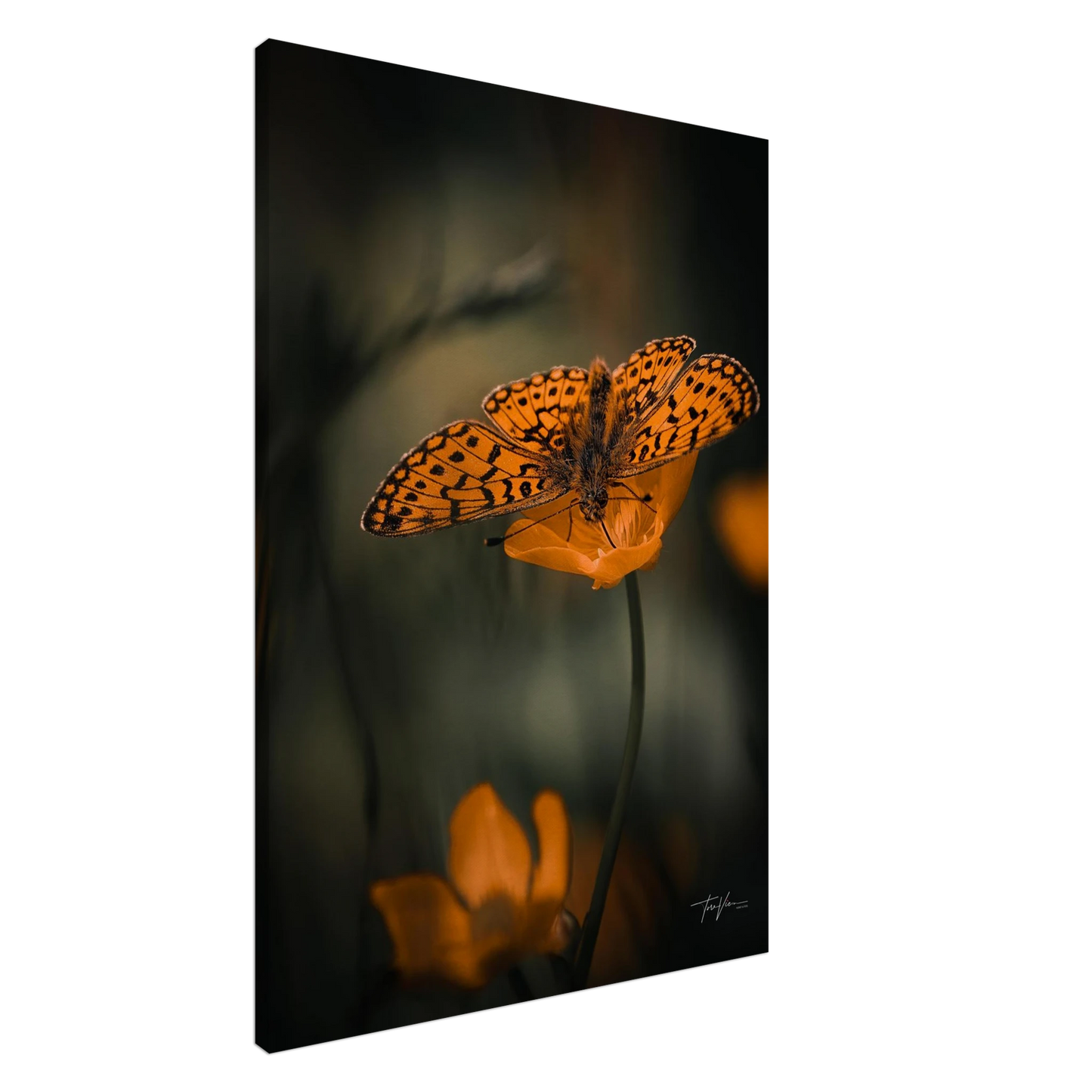 28da9e81-c18f-41a6-9090-a4f408b96f5d