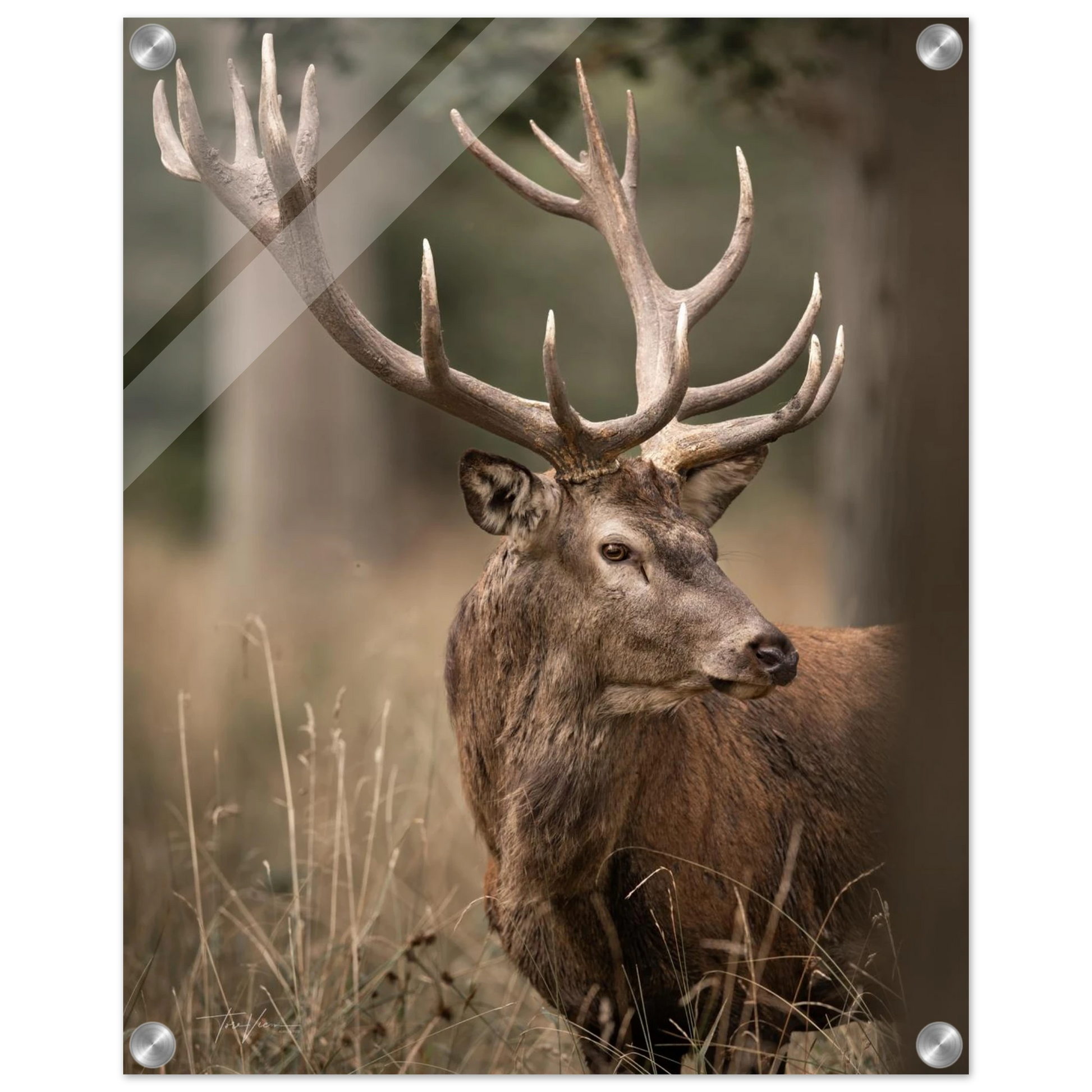 2edbd27b-0551-40ed-a1e4-4d29b569c49a