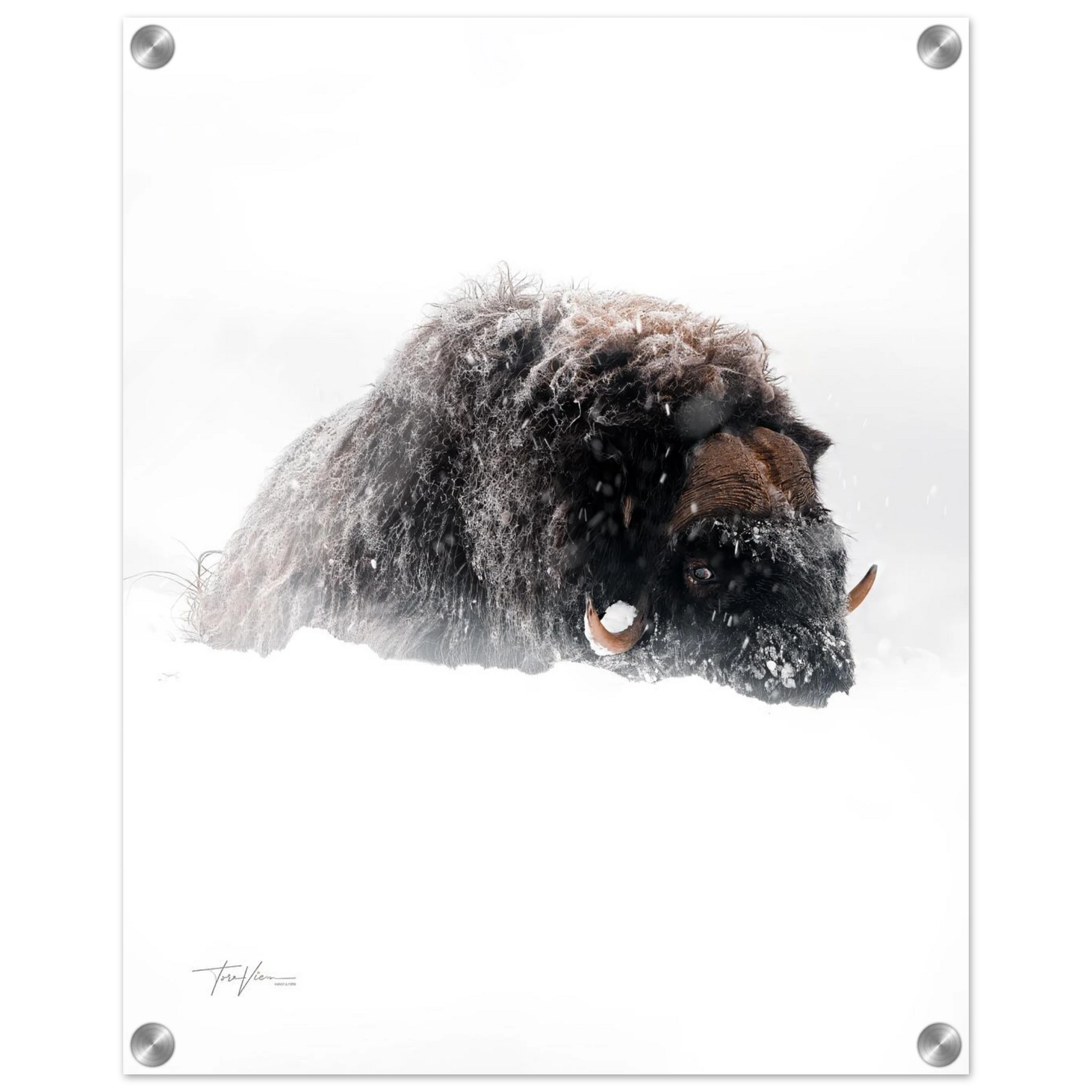 2fd106d0-cf36-4234-950d-3b78d1b0bbb9