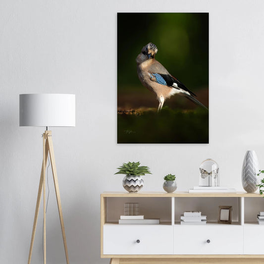 2ffd84f7-8daa-480b-9336-83a357e9533d