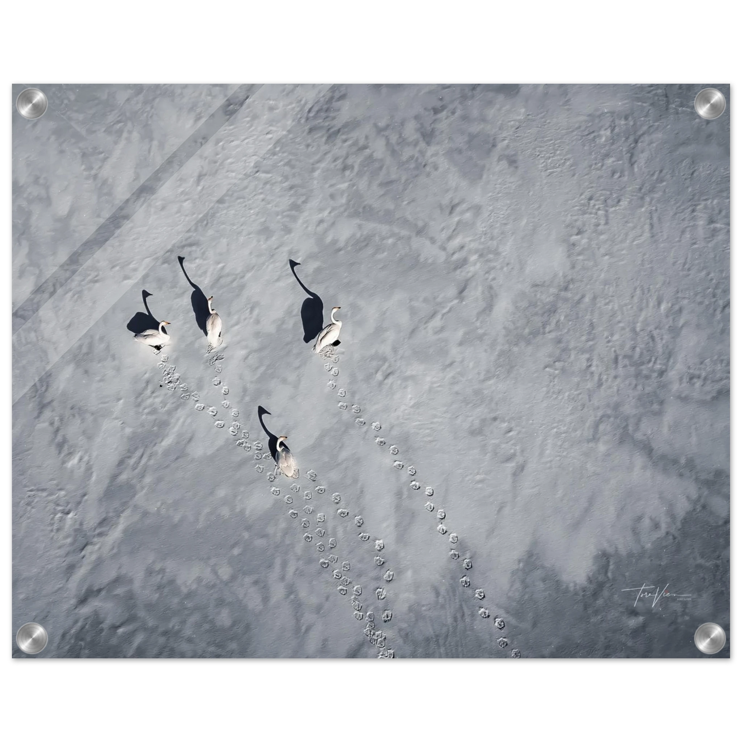 3035d236-530a-4bc1-8966-ce8804f72498