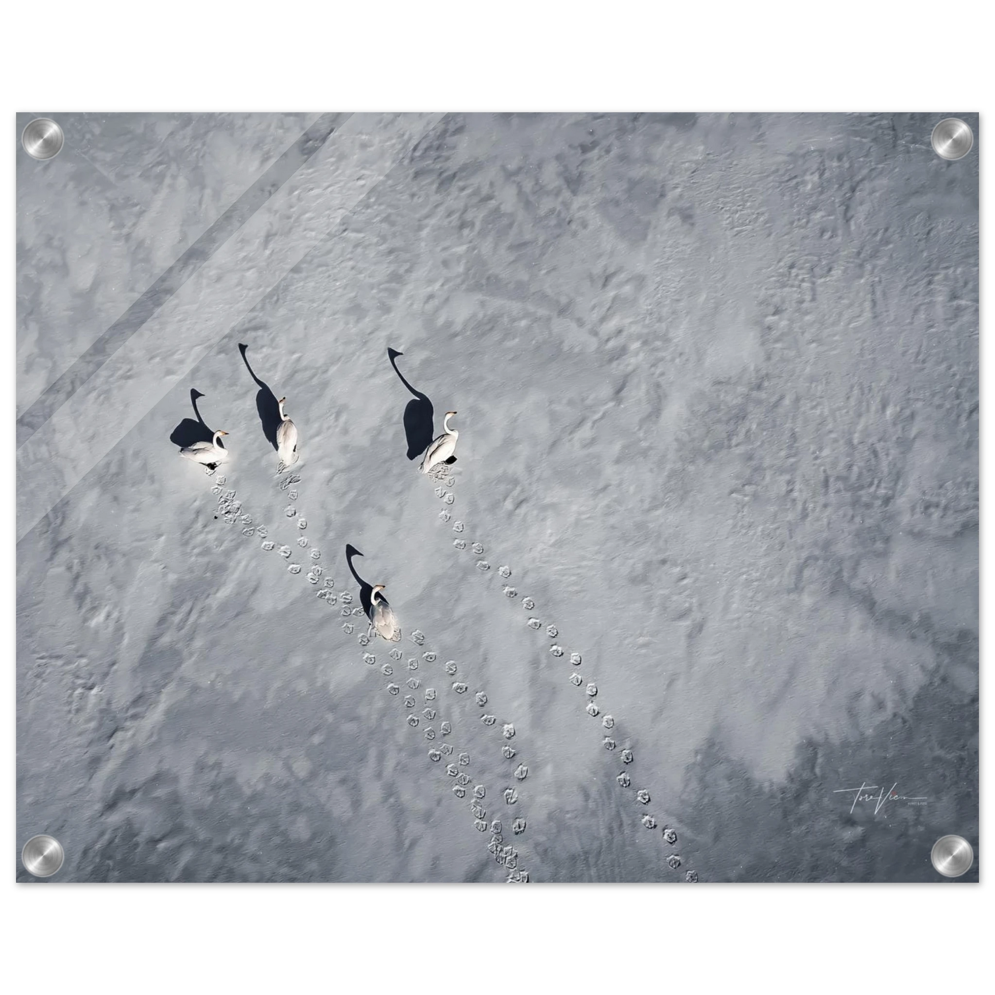 3035d236-530a-4bc1-8966-ce8804f72498