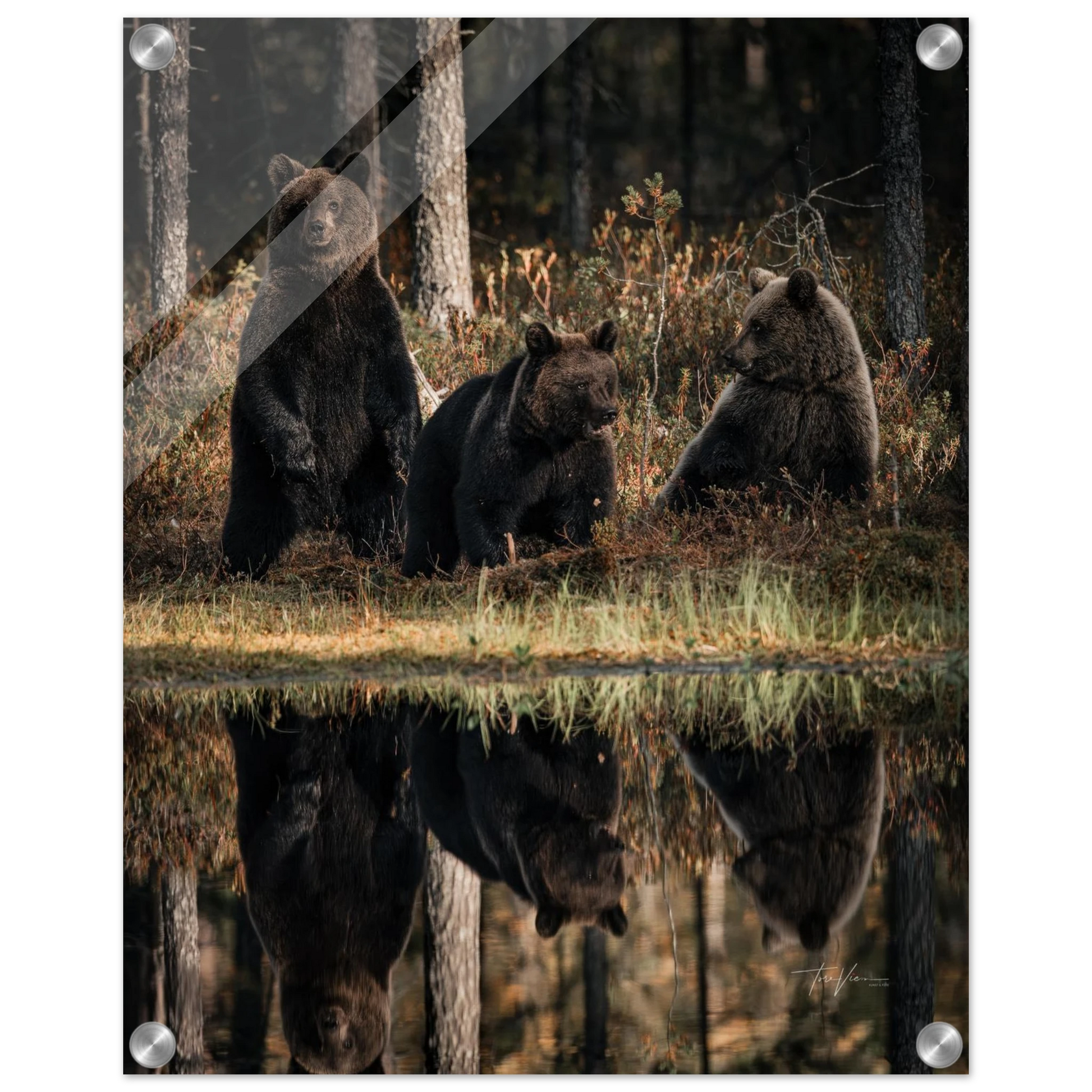 31ad1222-04a5-4912-8545-d11474d39cb6