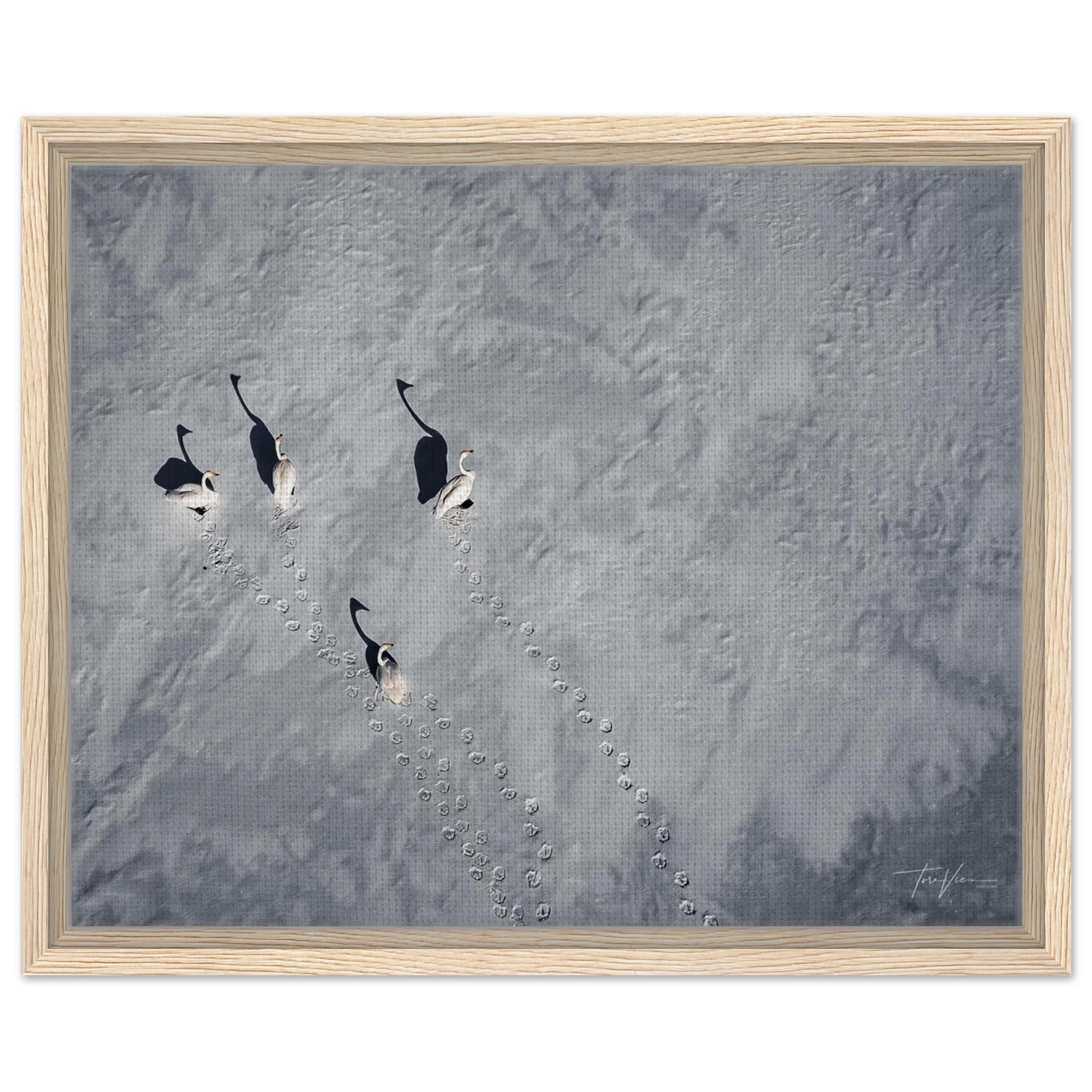 32234ff6-d8d3-45b5-aa9e-e79648cdce39