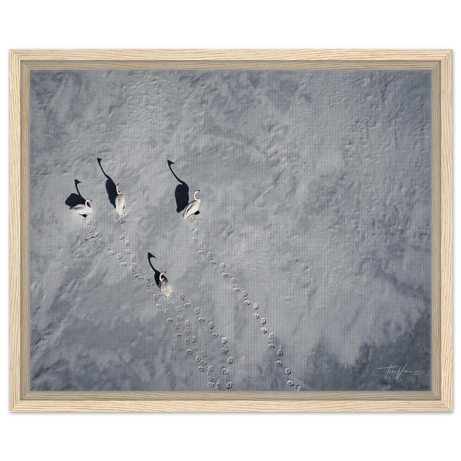 32234ff6-d8d3-45b5-aa9e-e79648cdce39