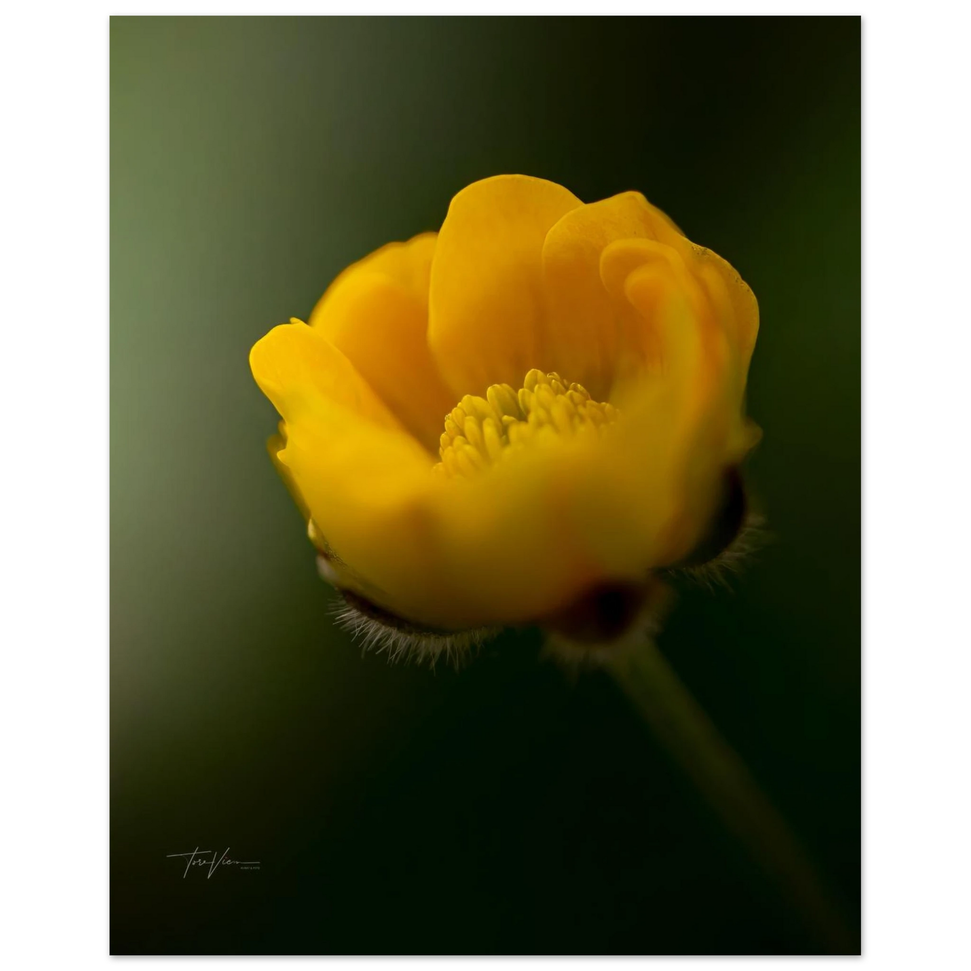 325b19fa-57d9-4efe-a667-f57177a75d66