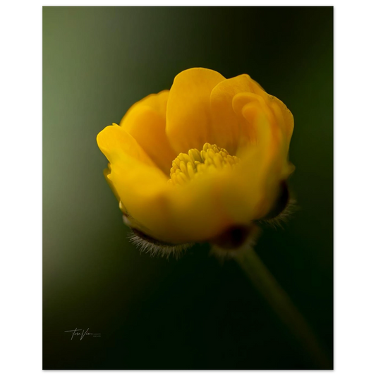 325b19fa-57d9-4efe-a667-f57177a75d66