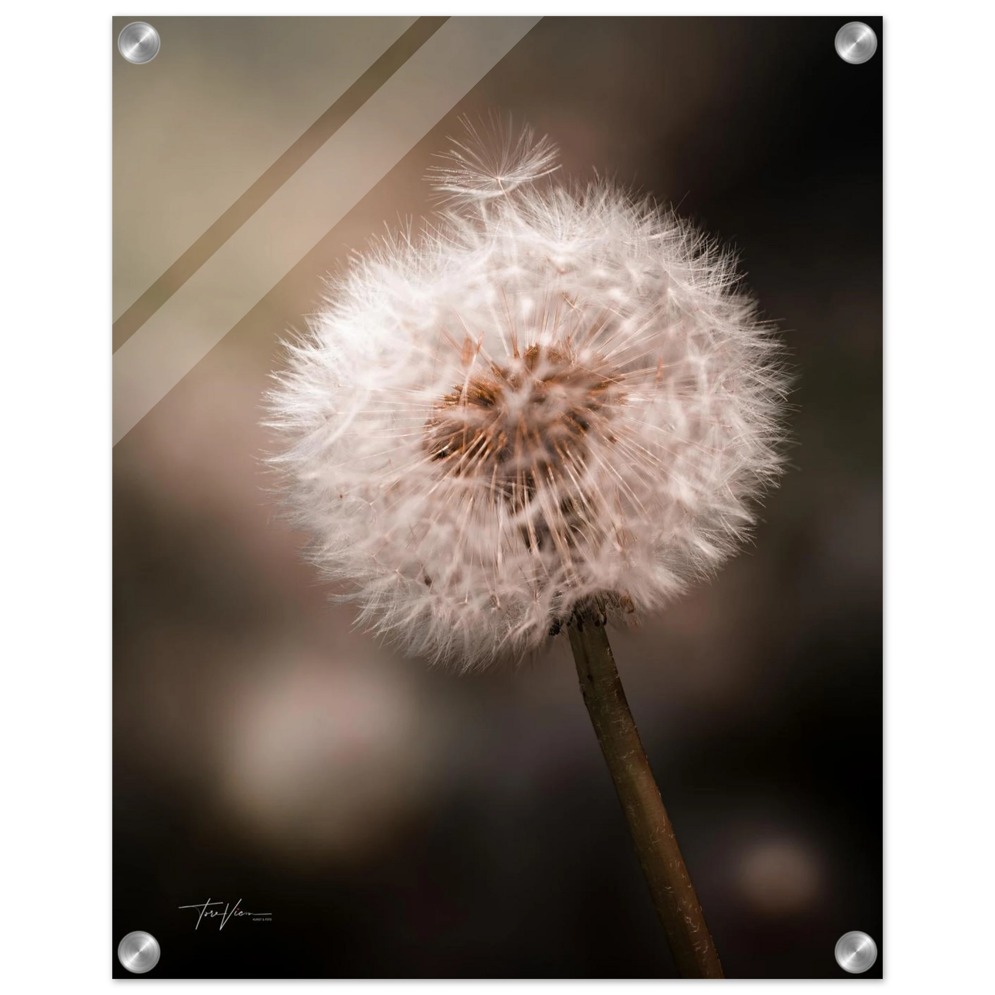 32c21649-dfa9-4135-887f-6462c049b89d