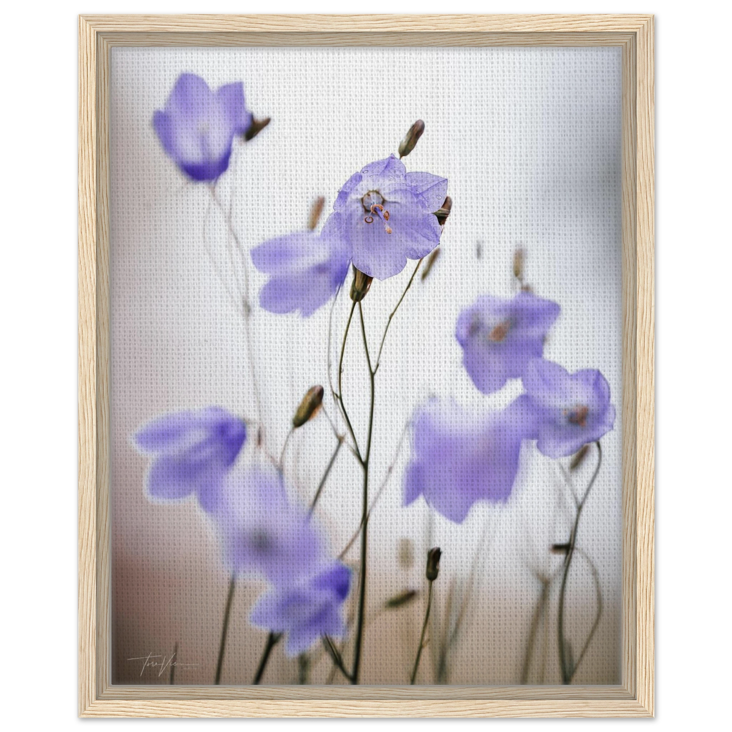 33abcf95-907f-46c5-9345-a078039223e8